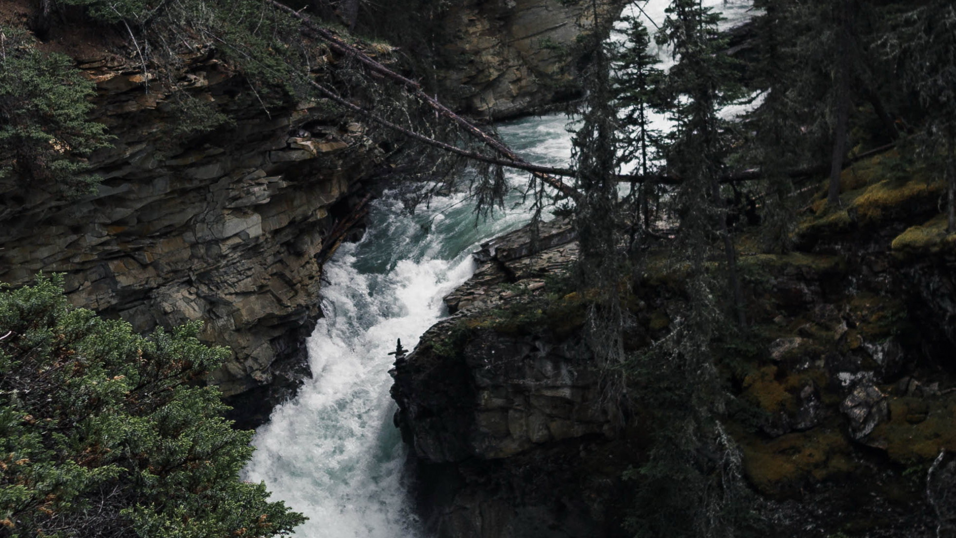 Обои природа, вода, гидроресурсы, растение, природный ландшафт в разрешении 1920x1080