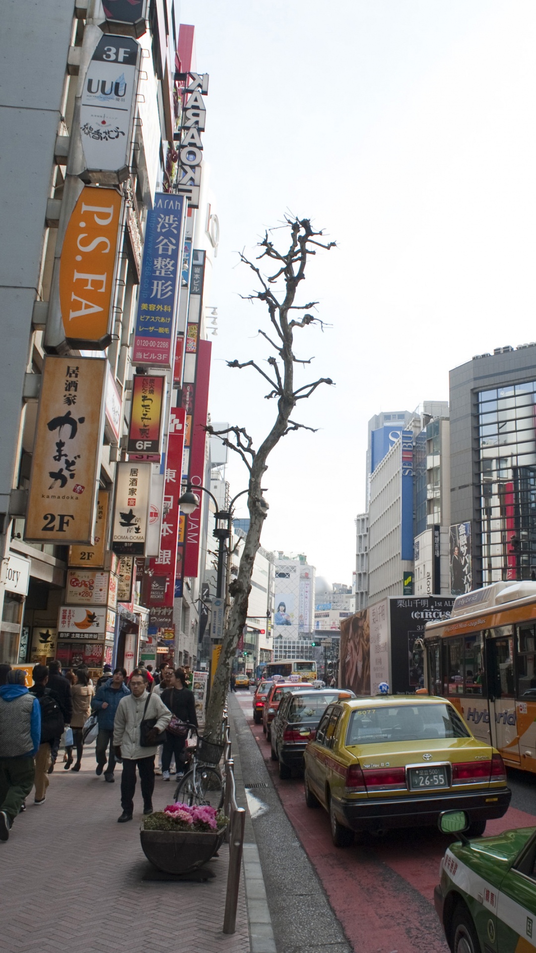 Обои городской район, город, метрополия, городок, улица в разрешении 1080x1920
