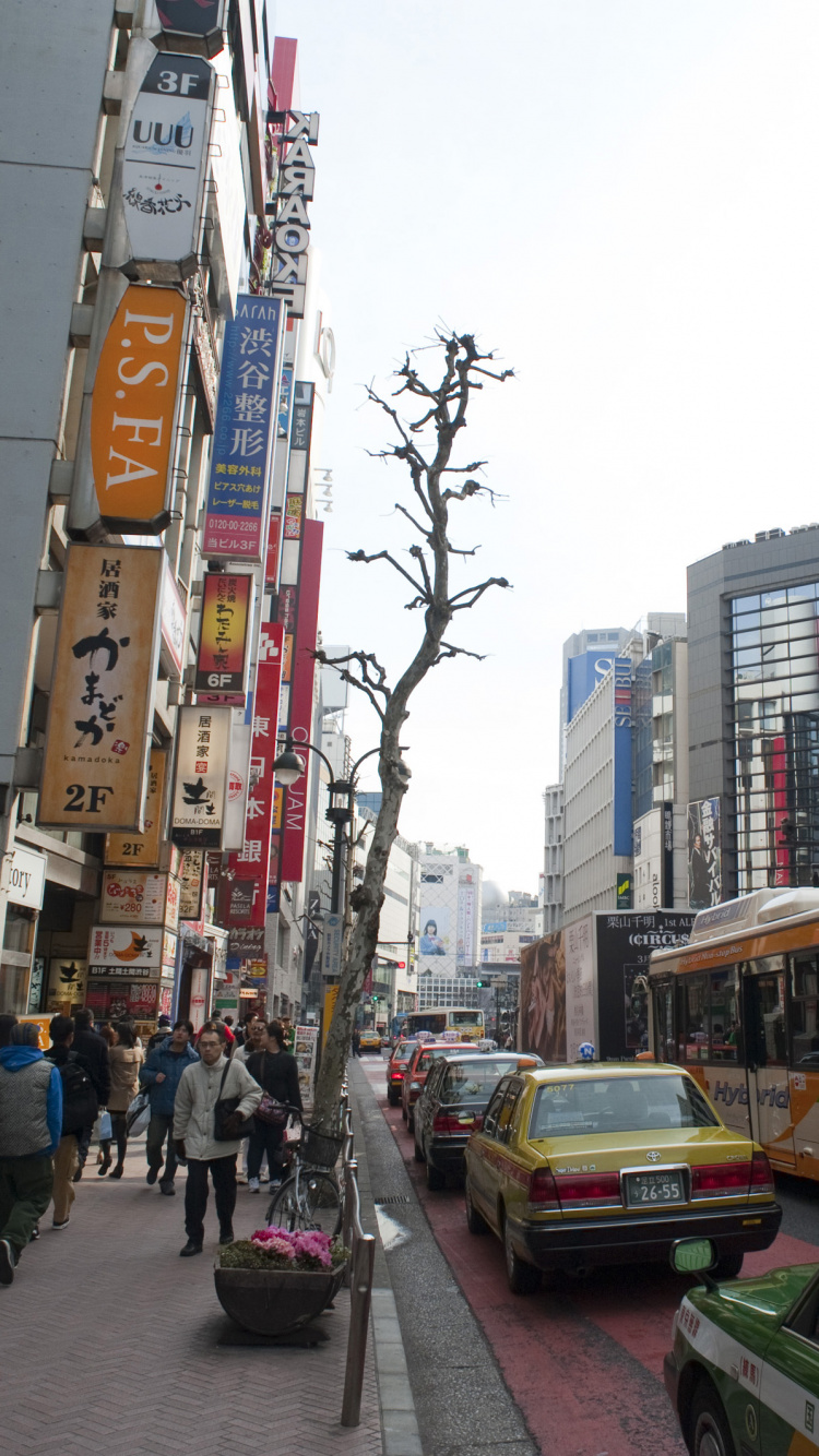 Обои городской район, город, метрополия, городок, улица в разрешении 750x1334