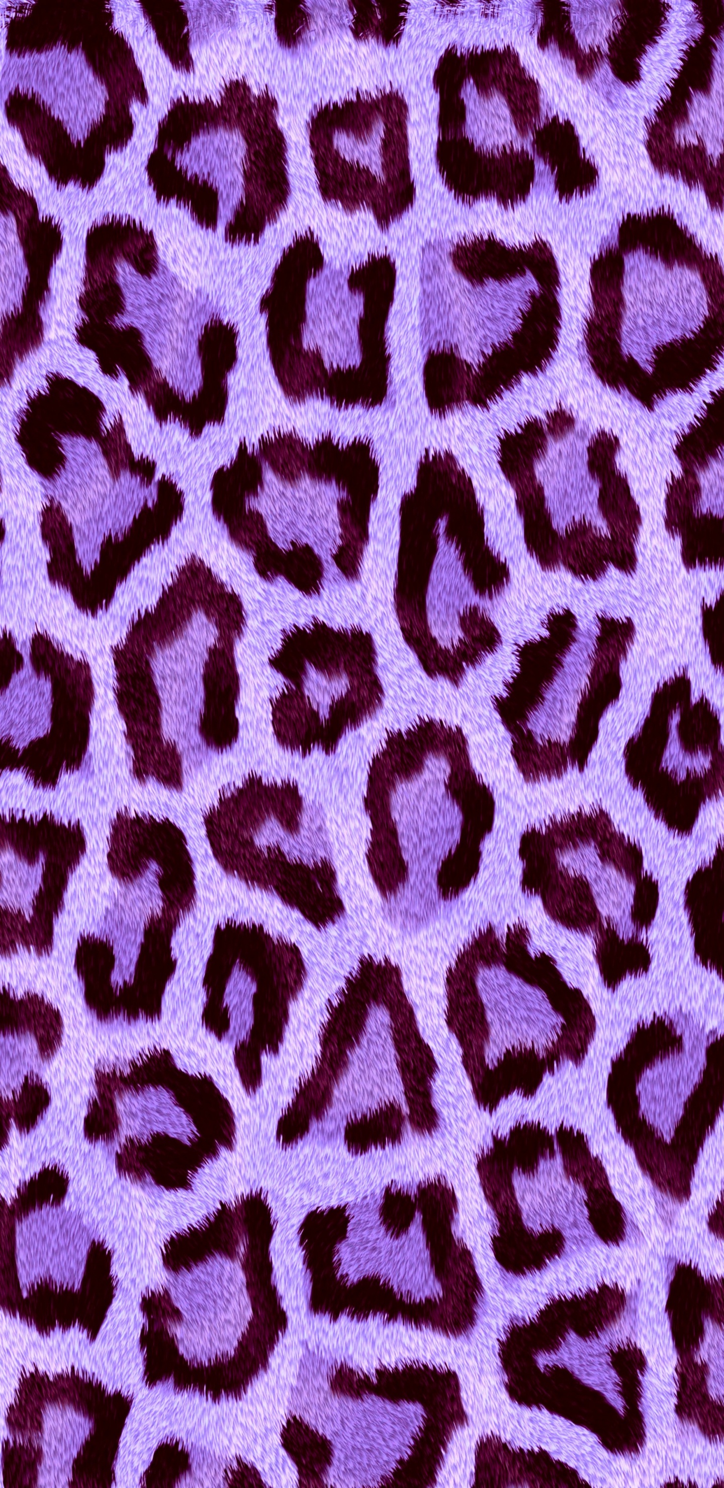 Обои Леопард, животных печати, Гепард, одежда, пурпур в разрешении 1440x2960