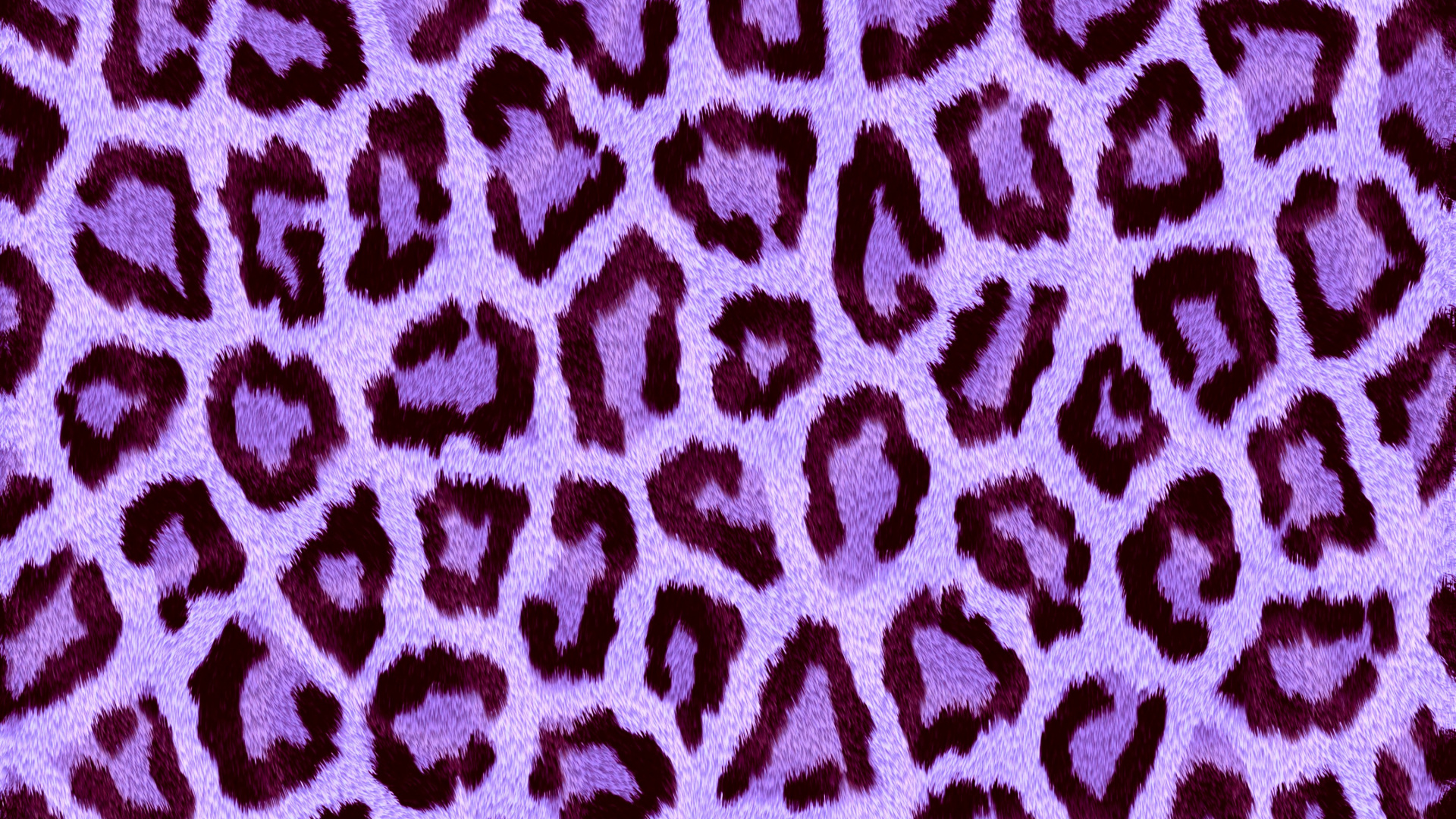 Обои Леопард, животных печати, Гепард, одежда, пурпур в разрешении 1920x1080