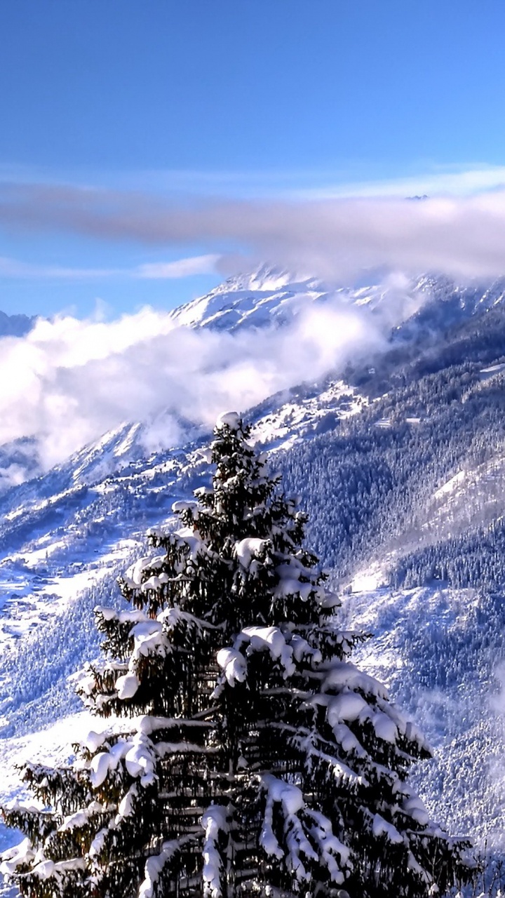 Обои живопись, горный рельеф, гора, горный хребет, зима в разрешении 720x1280