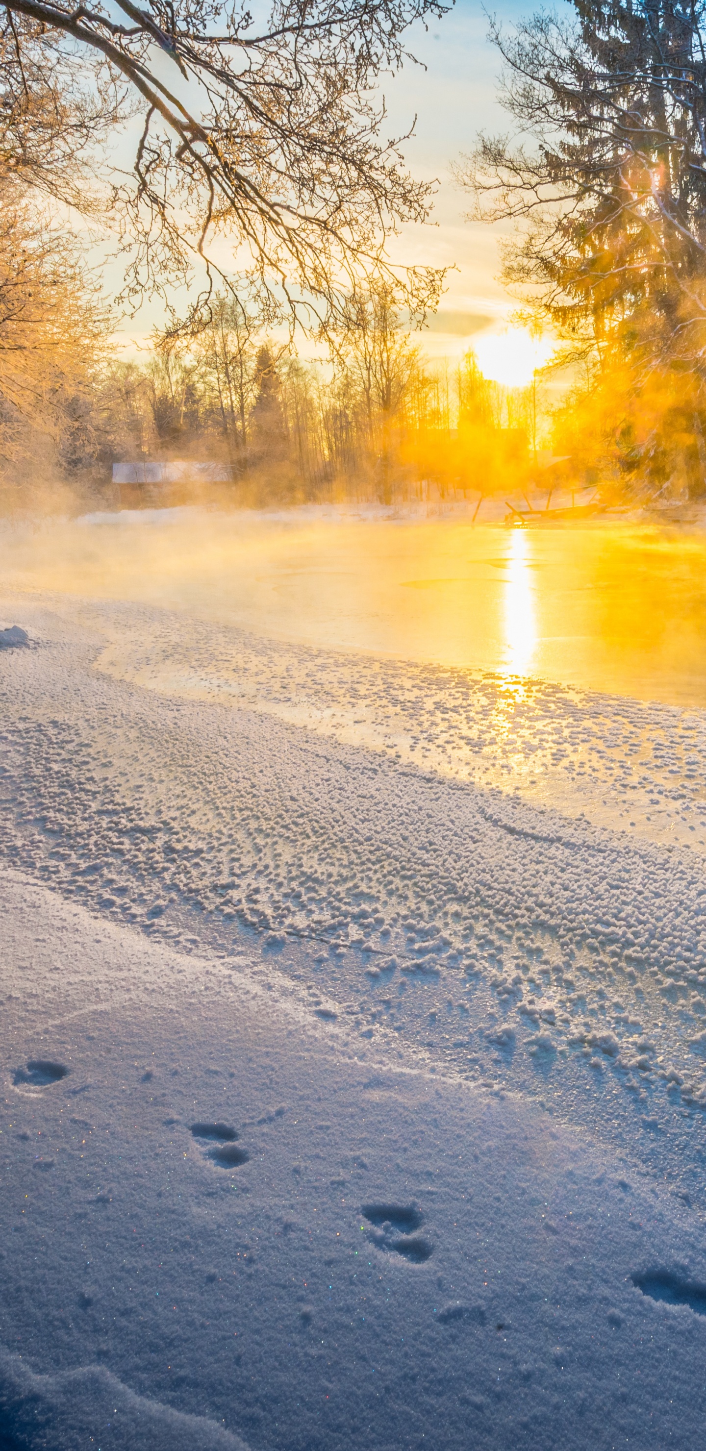 Обои снег, зима, природа, замораживание, свет в разрешении 1440x2960