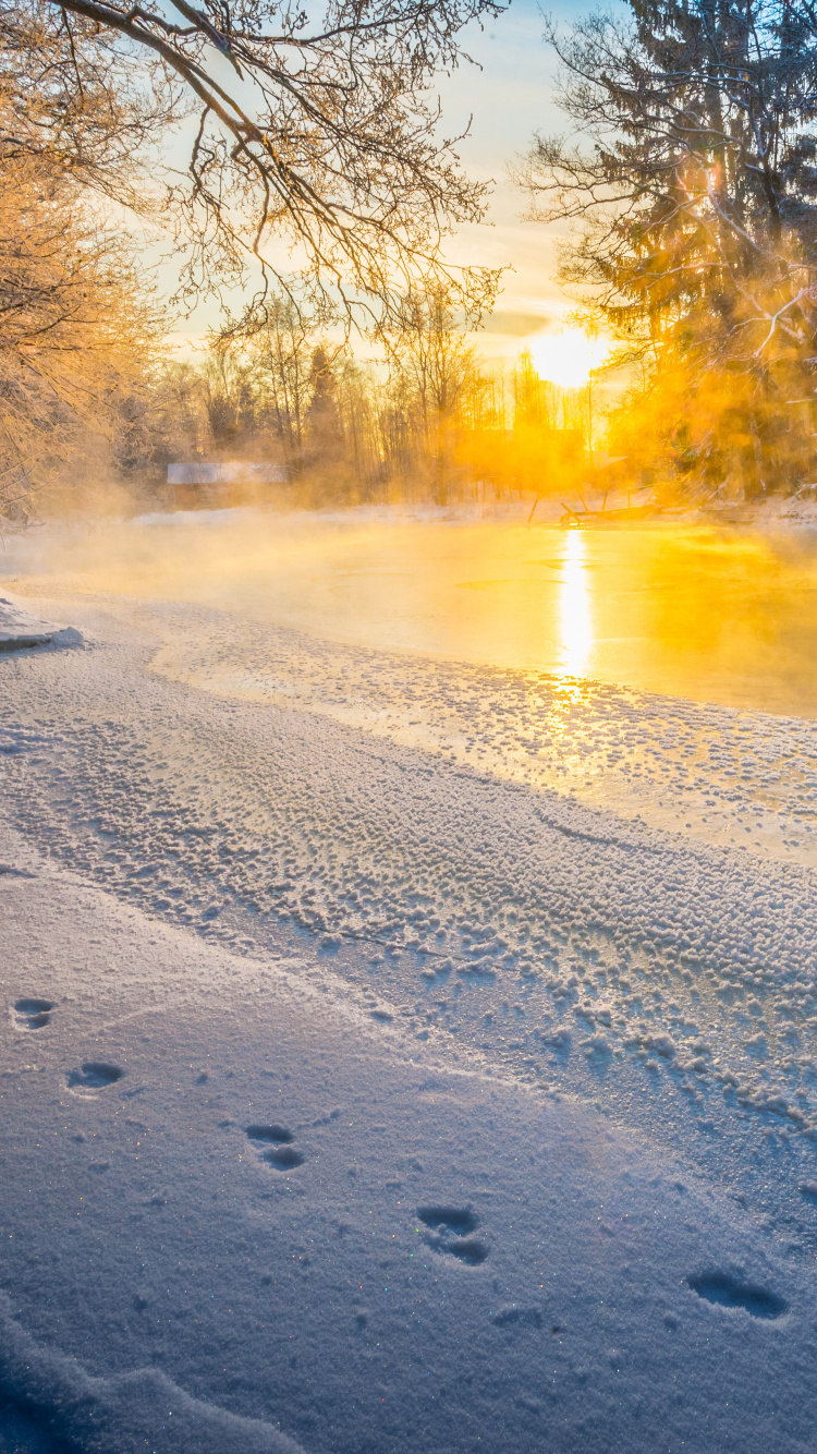 Обои снег, зима, природа, замораживание, свет в разрешении 750x1334