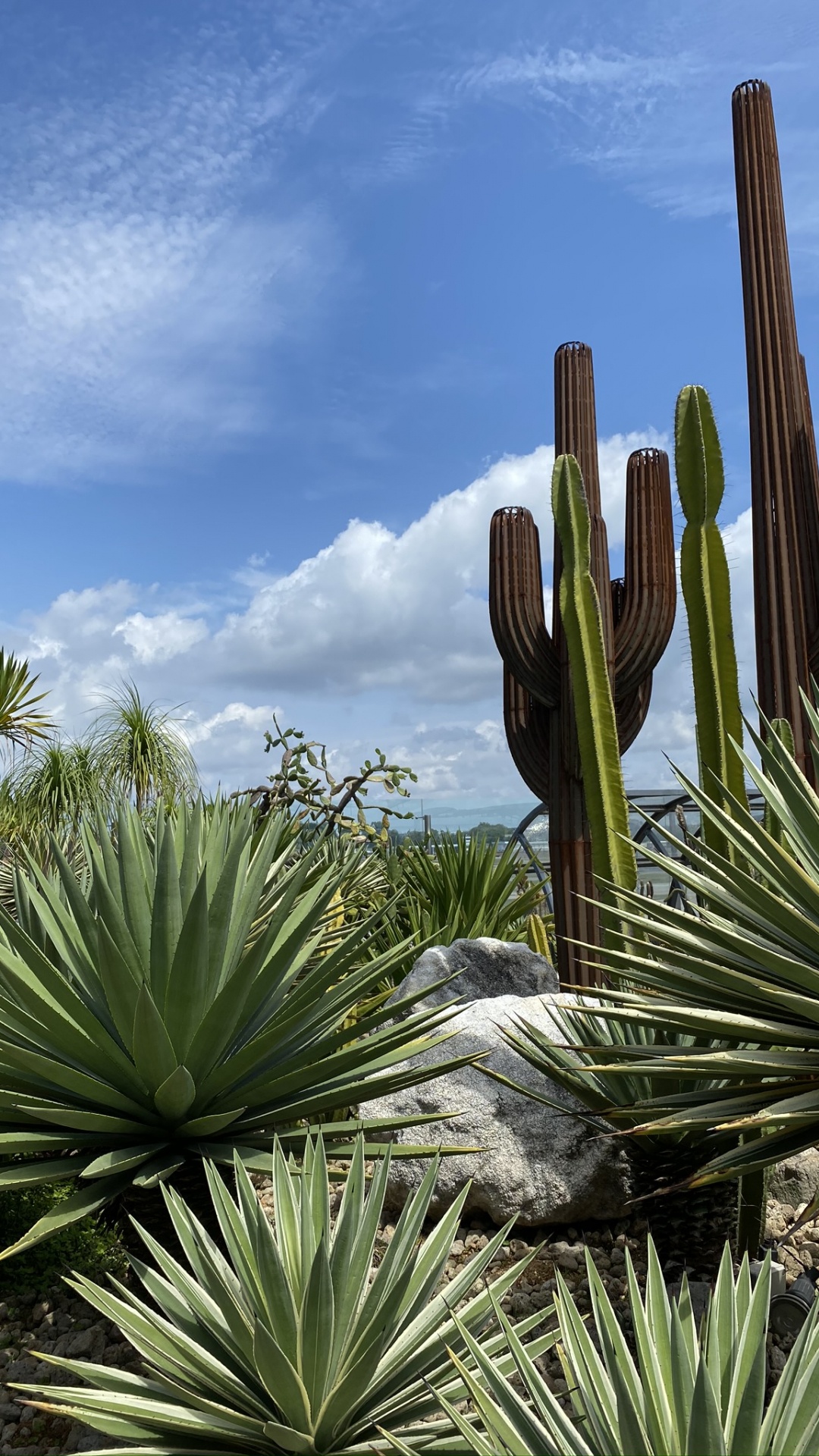 Обои растительность, кустарник, дневное время, окружающая среда, растение в разрешении 1080x1920
