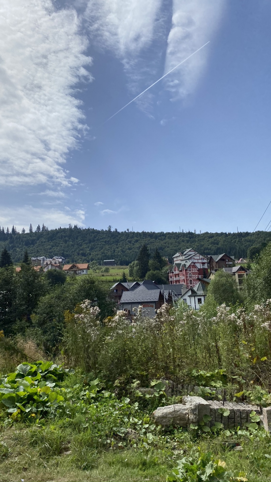 Обои растительность, облако, растительное сообщество, земельный участок, сельский район в разрешении 1080x1920