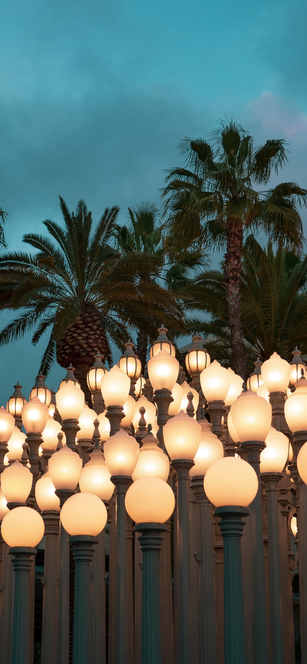 Обои Кокос, архитектура, пальмовые рощи, Пальма, небо в разрешении 1242x2688