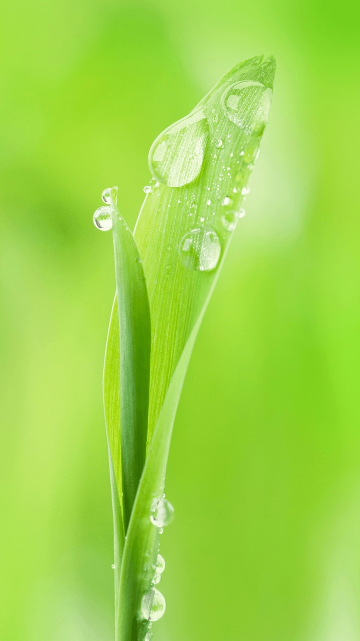 Обои Huawei, Huawei Nova, Huawei Nova 2, Huawei fresh 2 Подробнее, Huawei Nova 3 в разрешении 720x1280