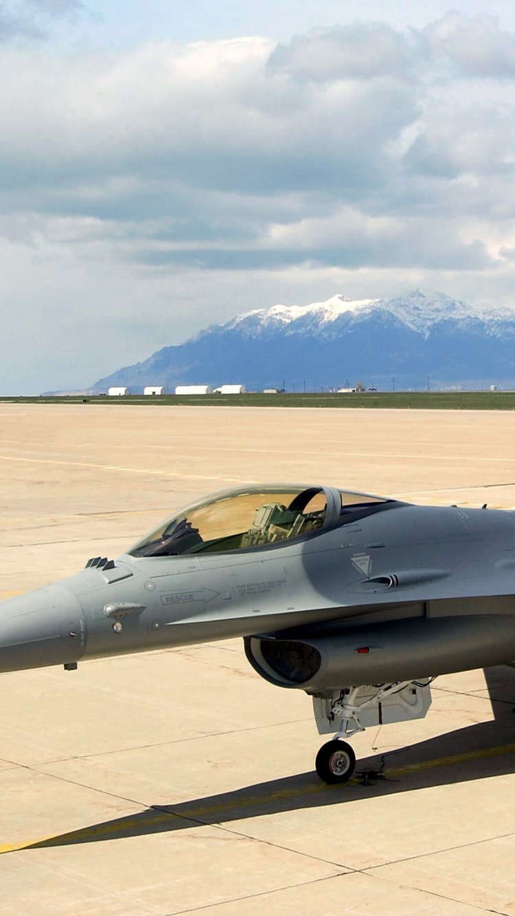 Обои воздушные силы, военный самолет, самолеты, самолет, истребительная авиация в разрешении 750x1334