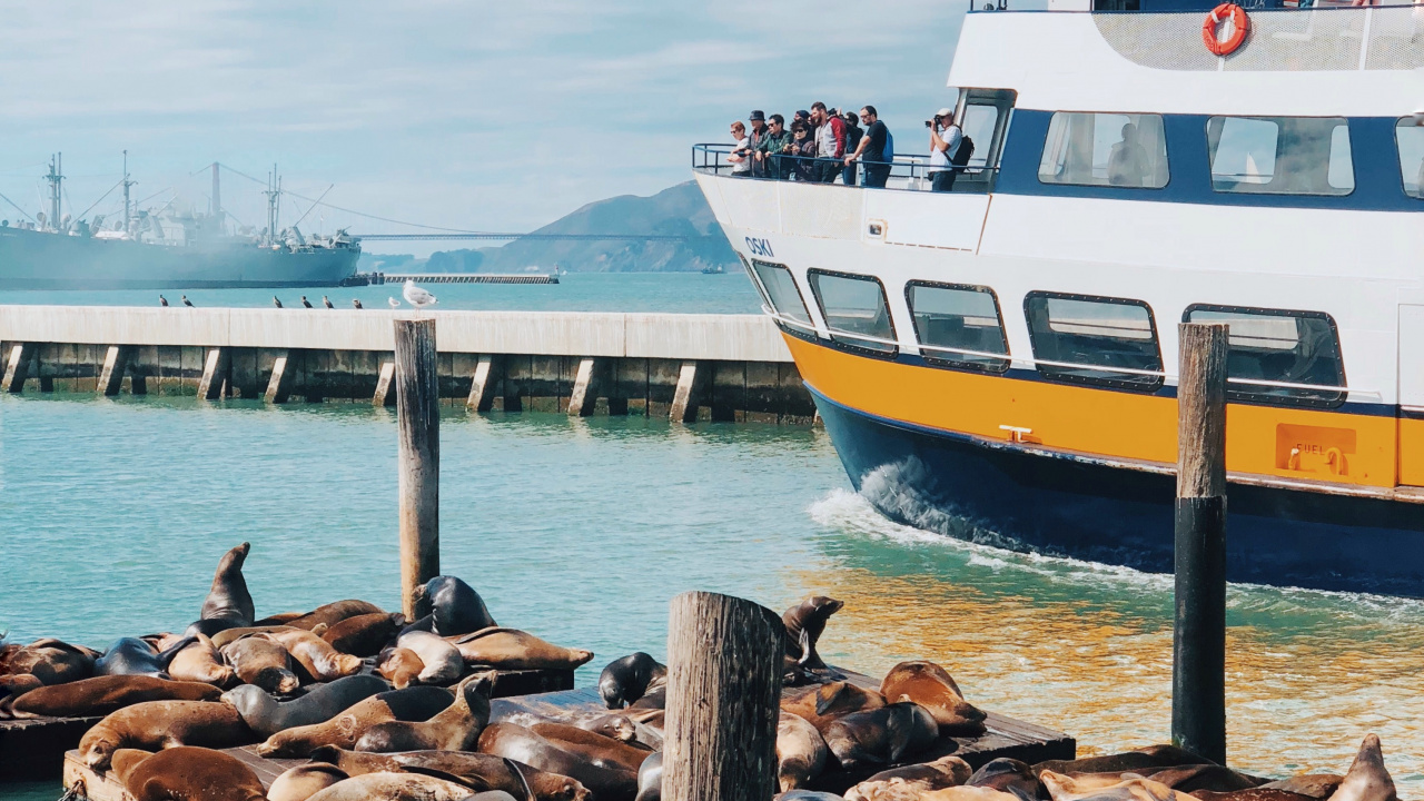 Обои Сан Франциско, море, вода, судно, лодка в разрешении 1280x720