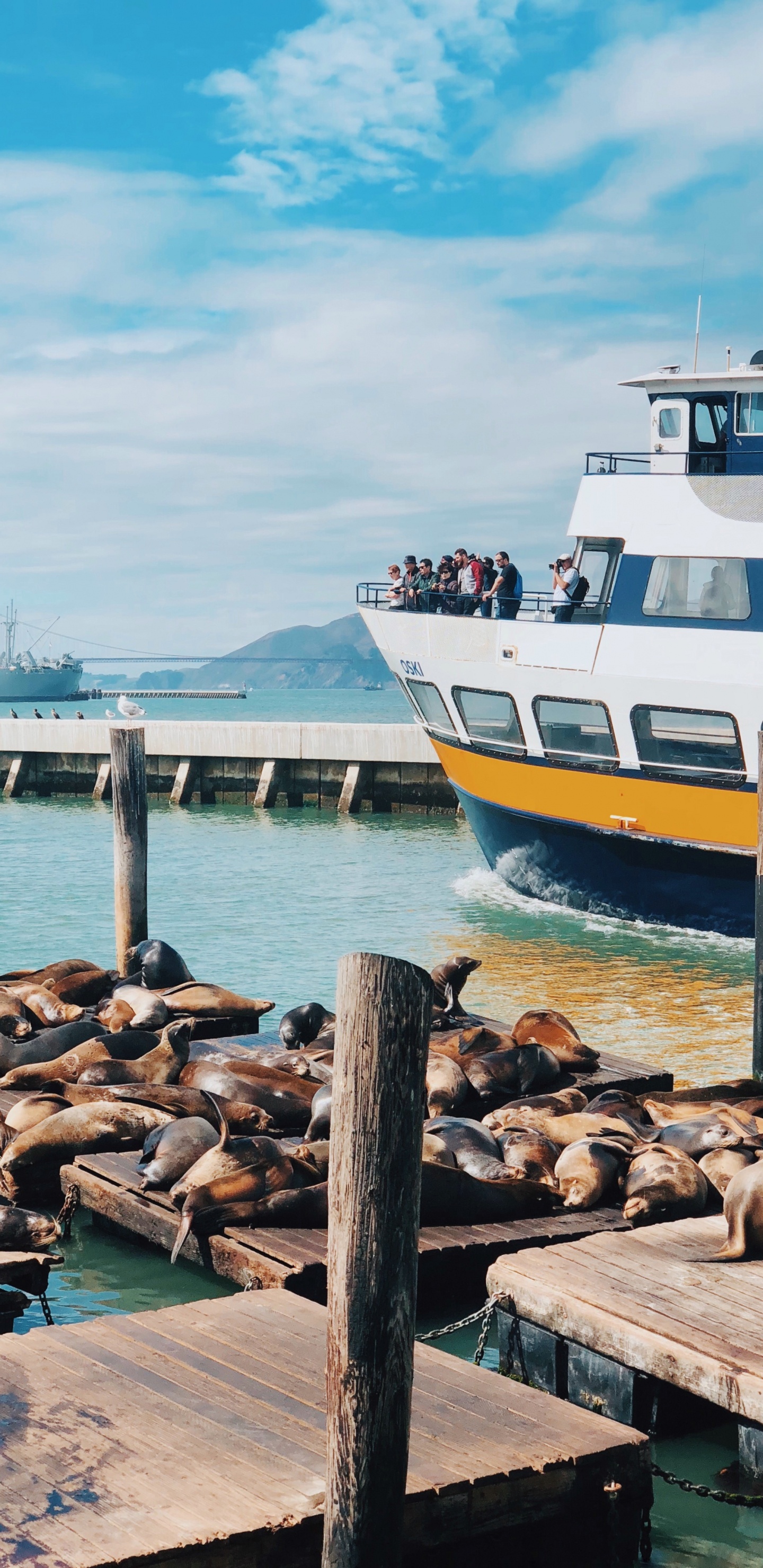 Обои Сан Франциско, море, вода, судно, лодка в разрешении 1440x2960