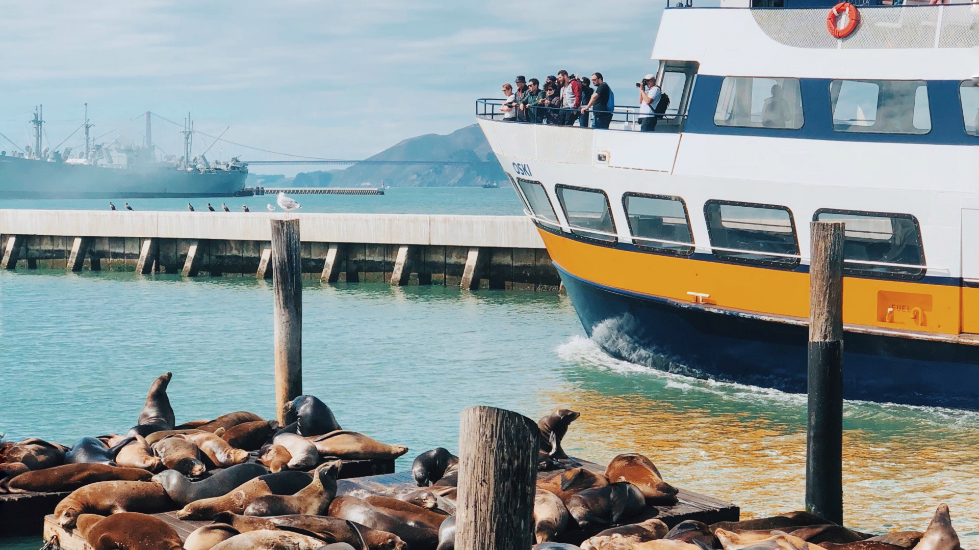 Обои Сан Франциско, море, вода, судно, лодка в разрешении 1920x1080