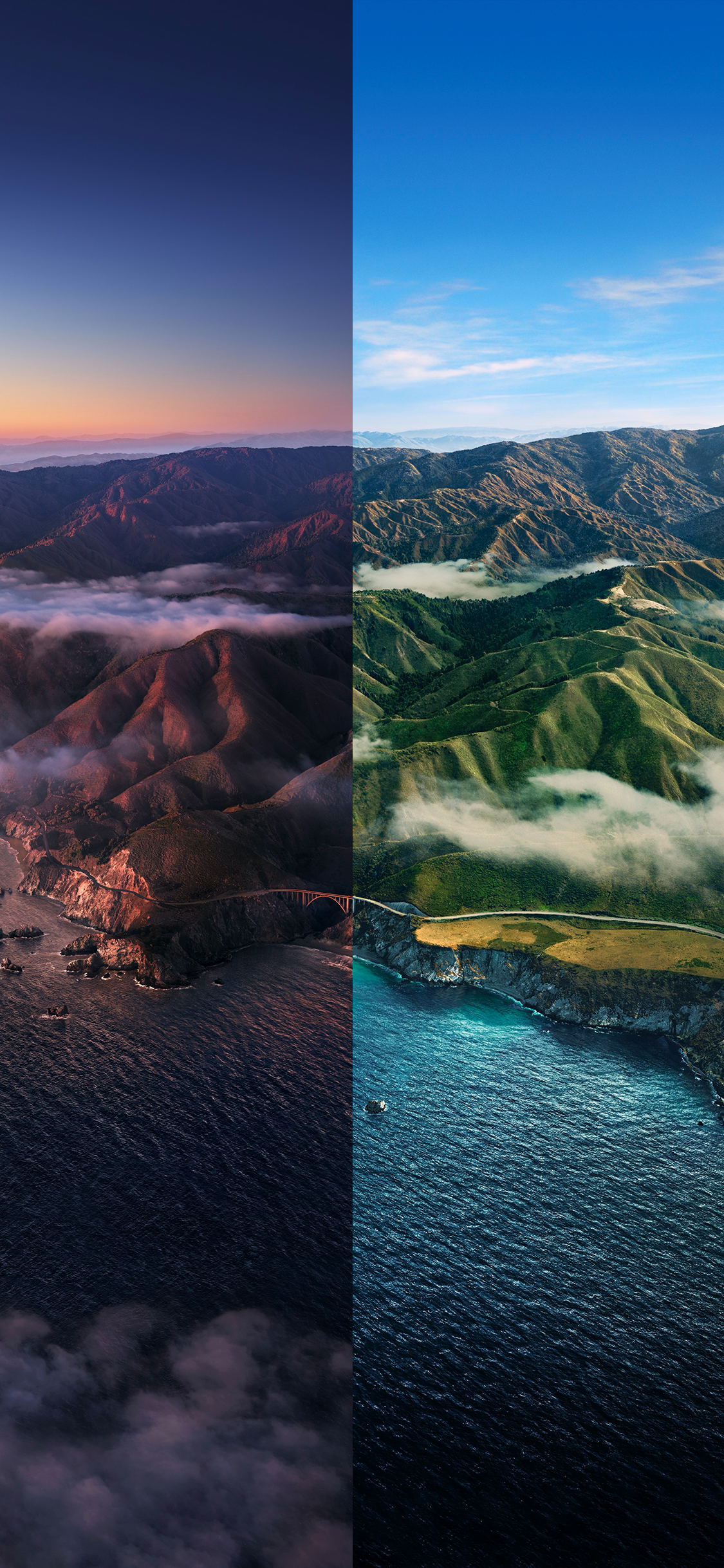 Обои apple, iPhone, iOS 14, iOS 14 DUAL, яблоко в разрешении 1125x2436