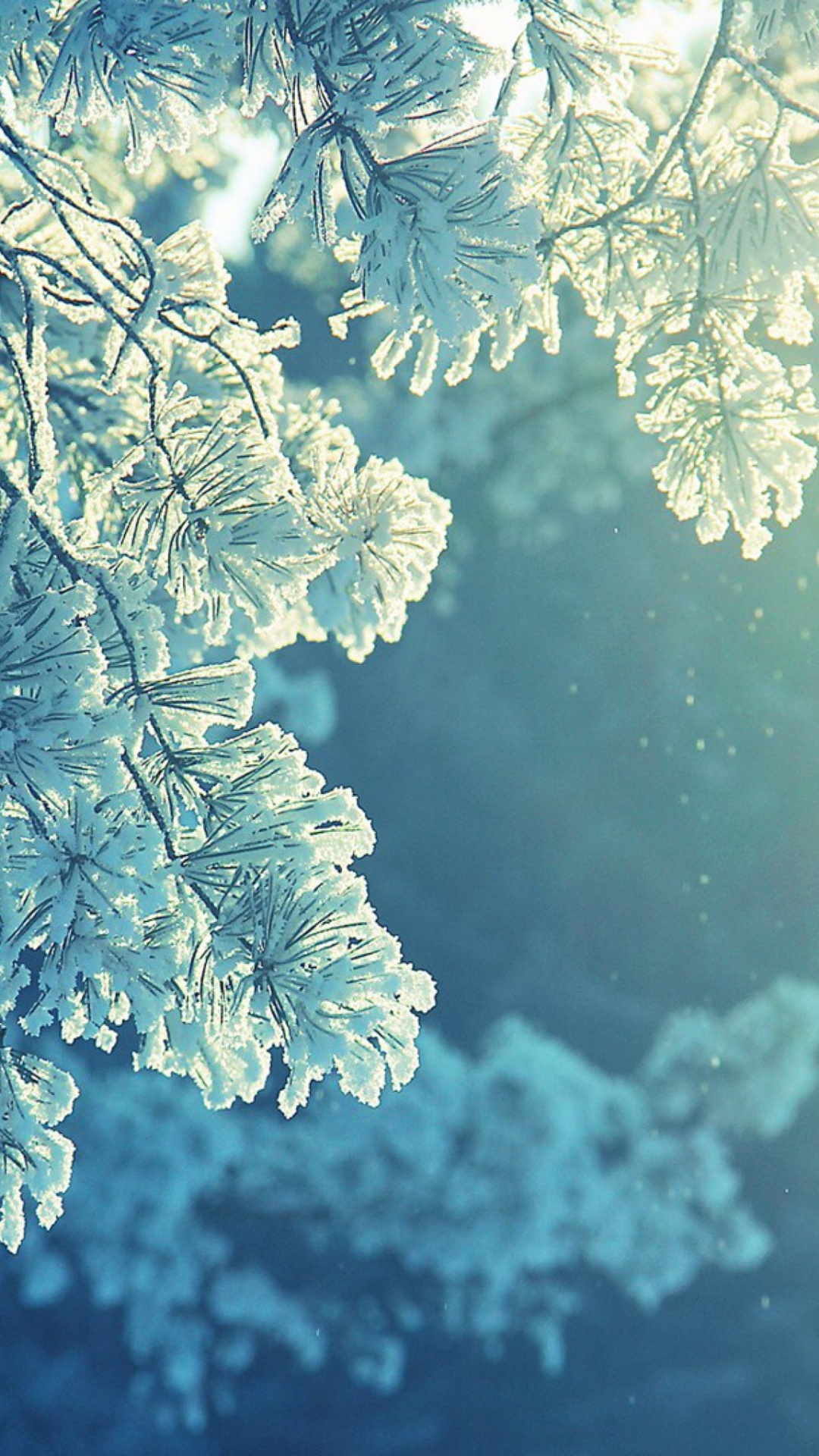 Обои мороз, природа, вода, зима, замораживание в разрешении 1080x1920