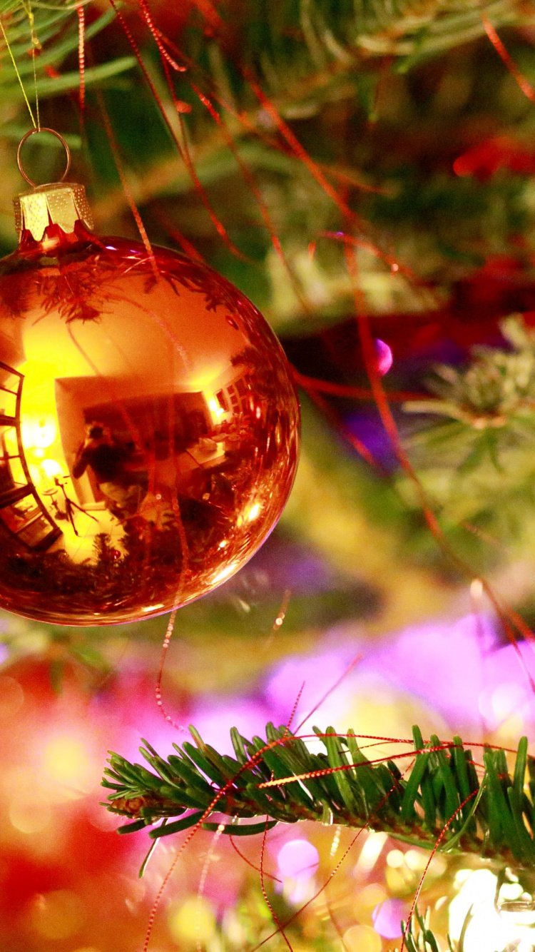 Обои вечнозеленое растение, событие, Рождественские украшения, Рождество, елка в разрешении 750x1334