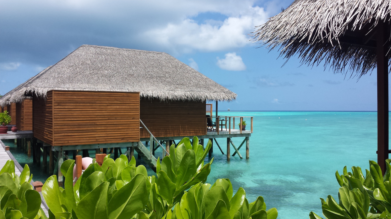 Обои Мальдивы, хижина, коттедж, пляж, отпуск в разрешении 1366x768
