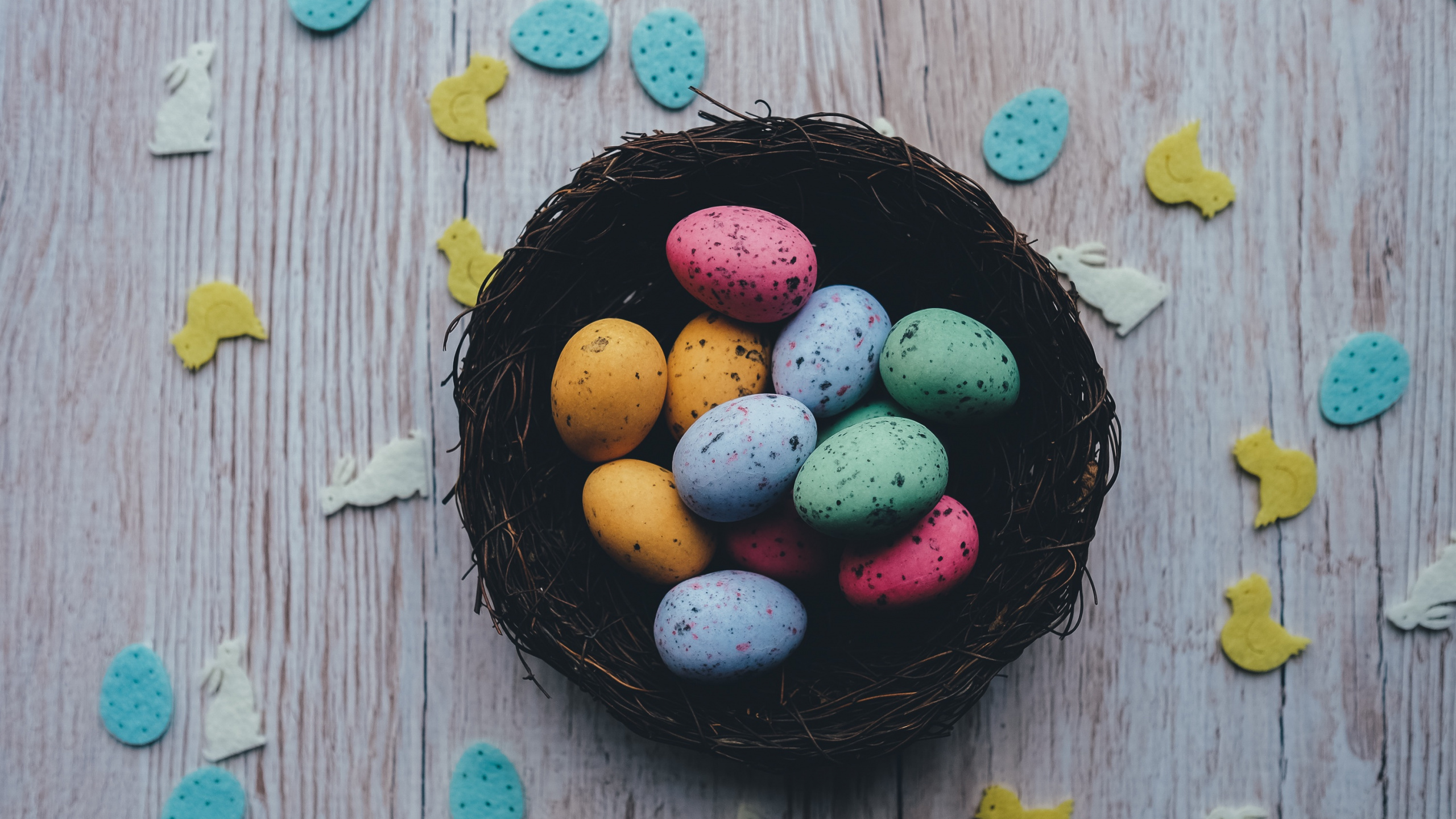 Обои яйцо охоты, пища, сладость, пищевой краситель, кондитерские изделия в разрешении 2560x1440