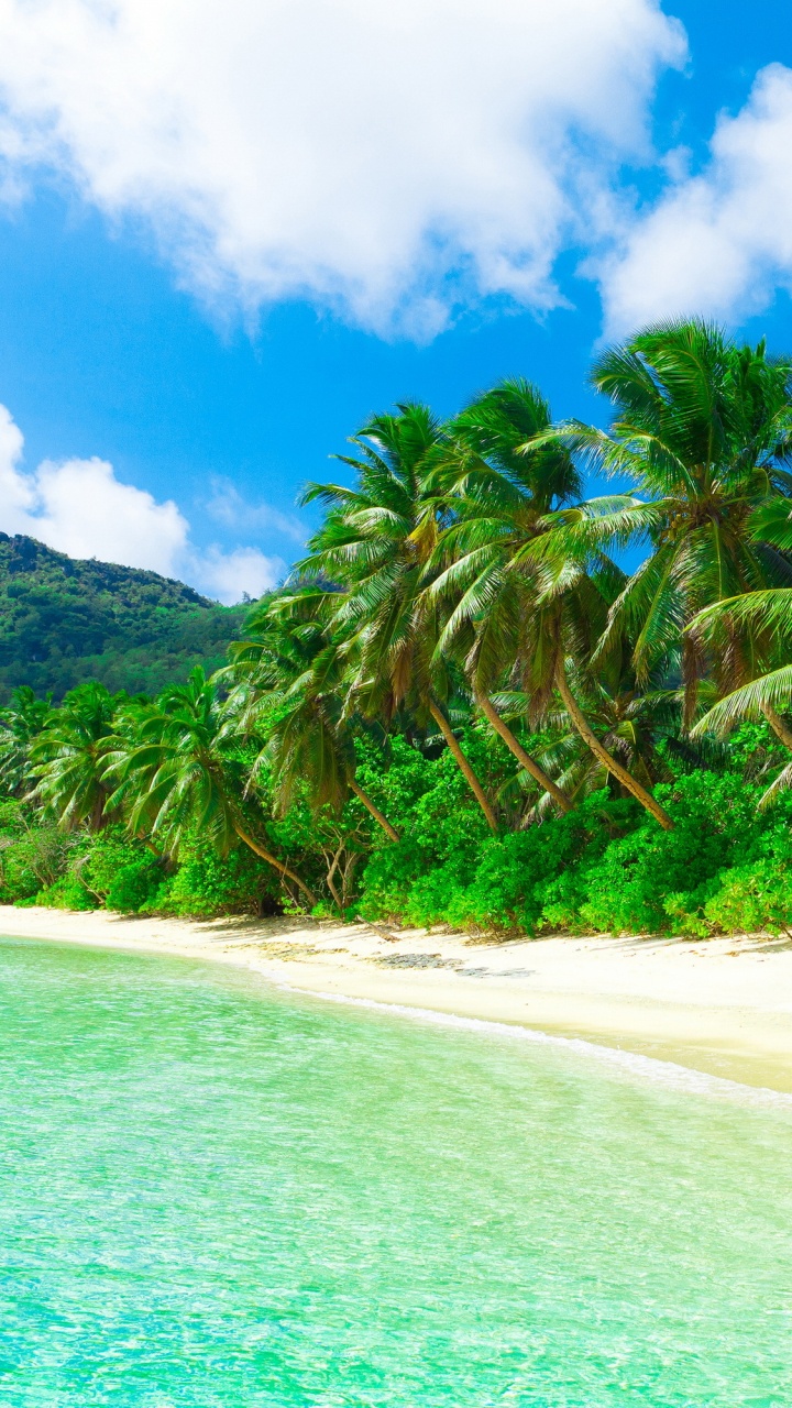 Обои пляж, море, берег, побережье, природа в разрешении 720x1280