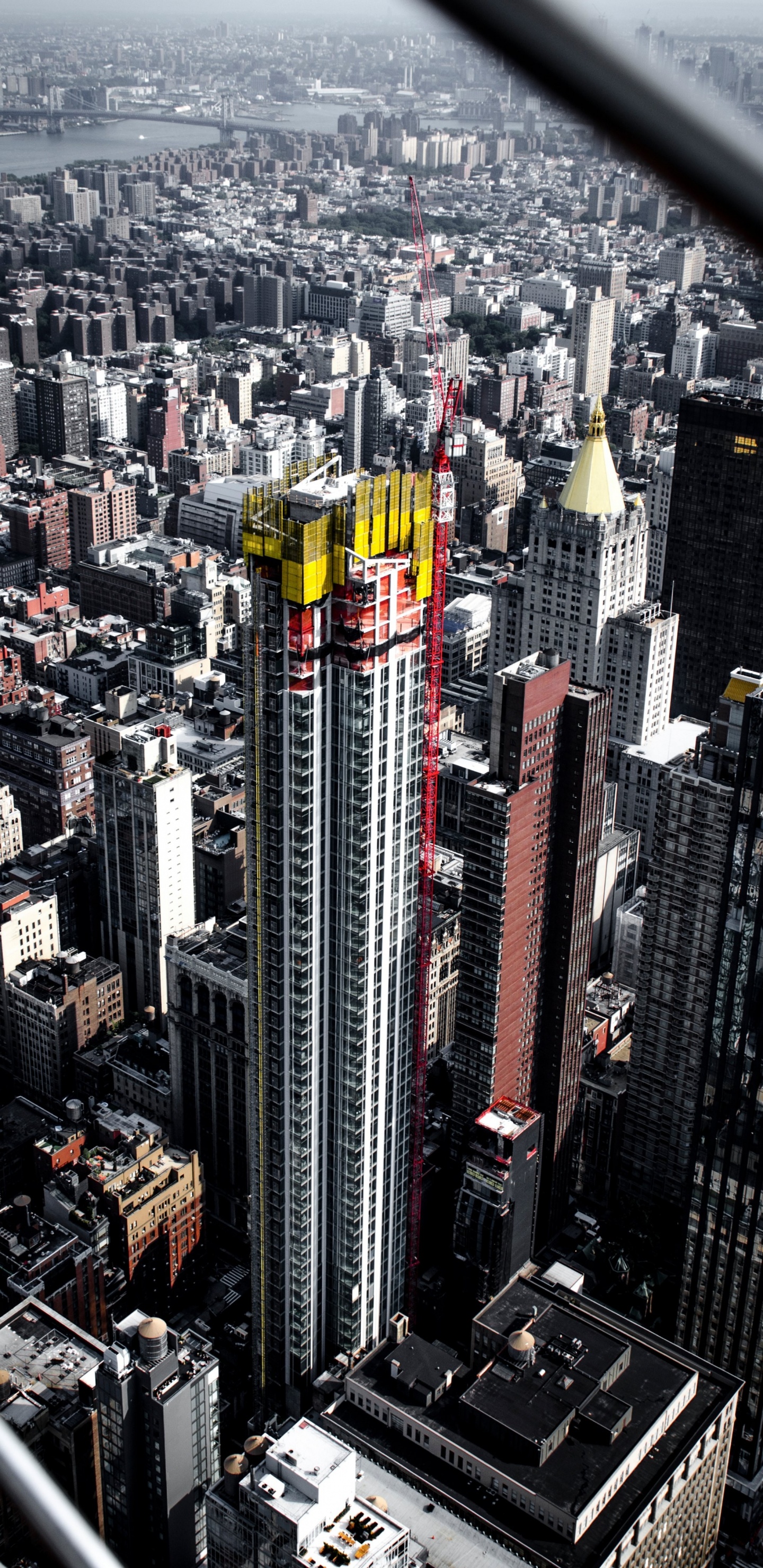 Обои Нью-Йорк, небоскреб, метрополия, городской район, городской пейзаж в разрешении 1440x2960