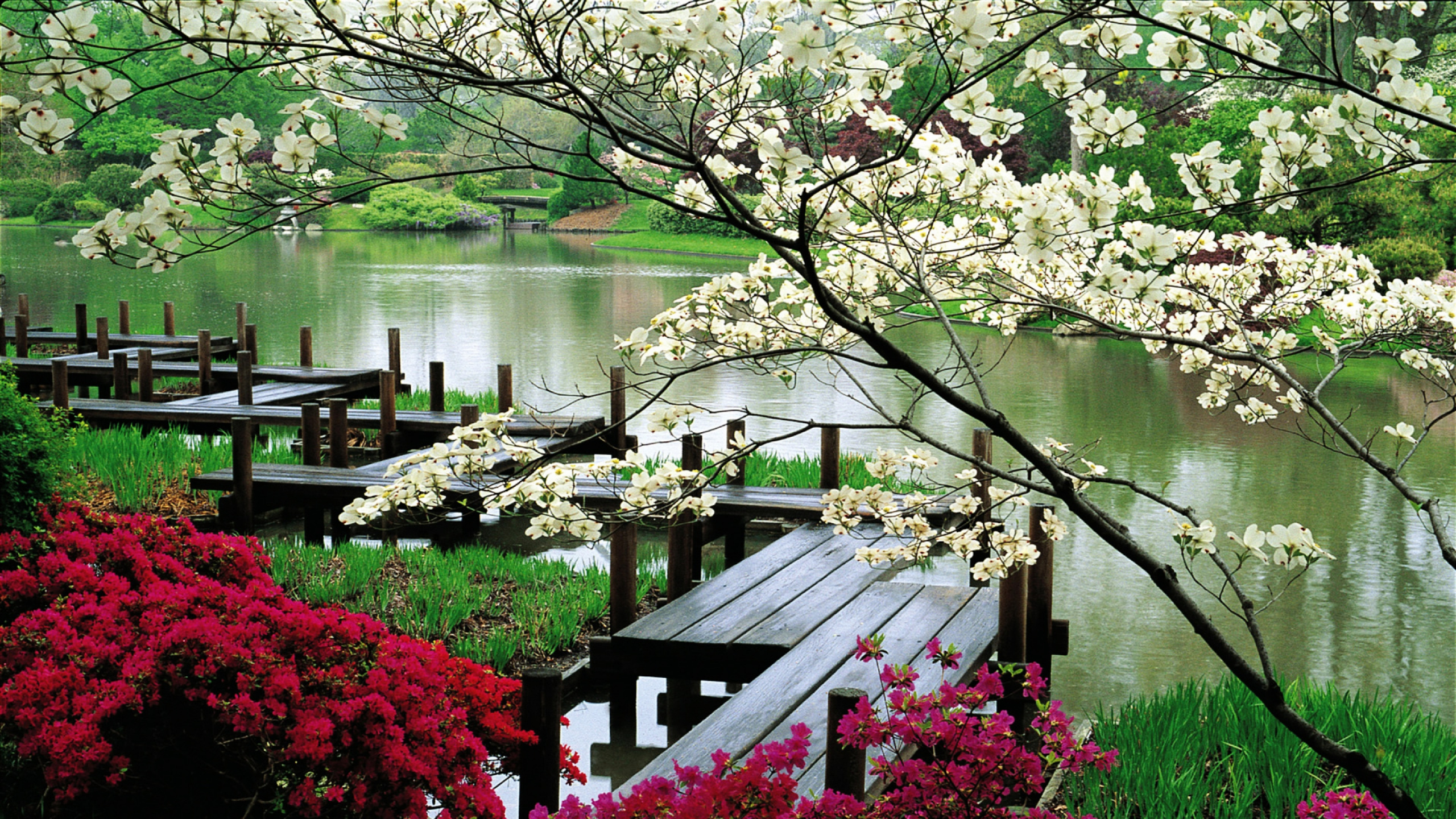 Обои Япония, японский сад, сад, японский сад камней, природа в разрешении 2560x1440