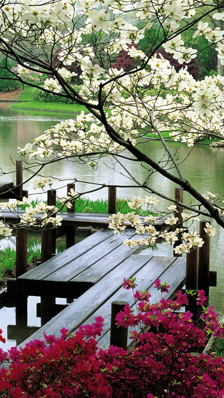 Обои Япония, японский сад, сад, японский сад камней, природа в разрешении 720x1280