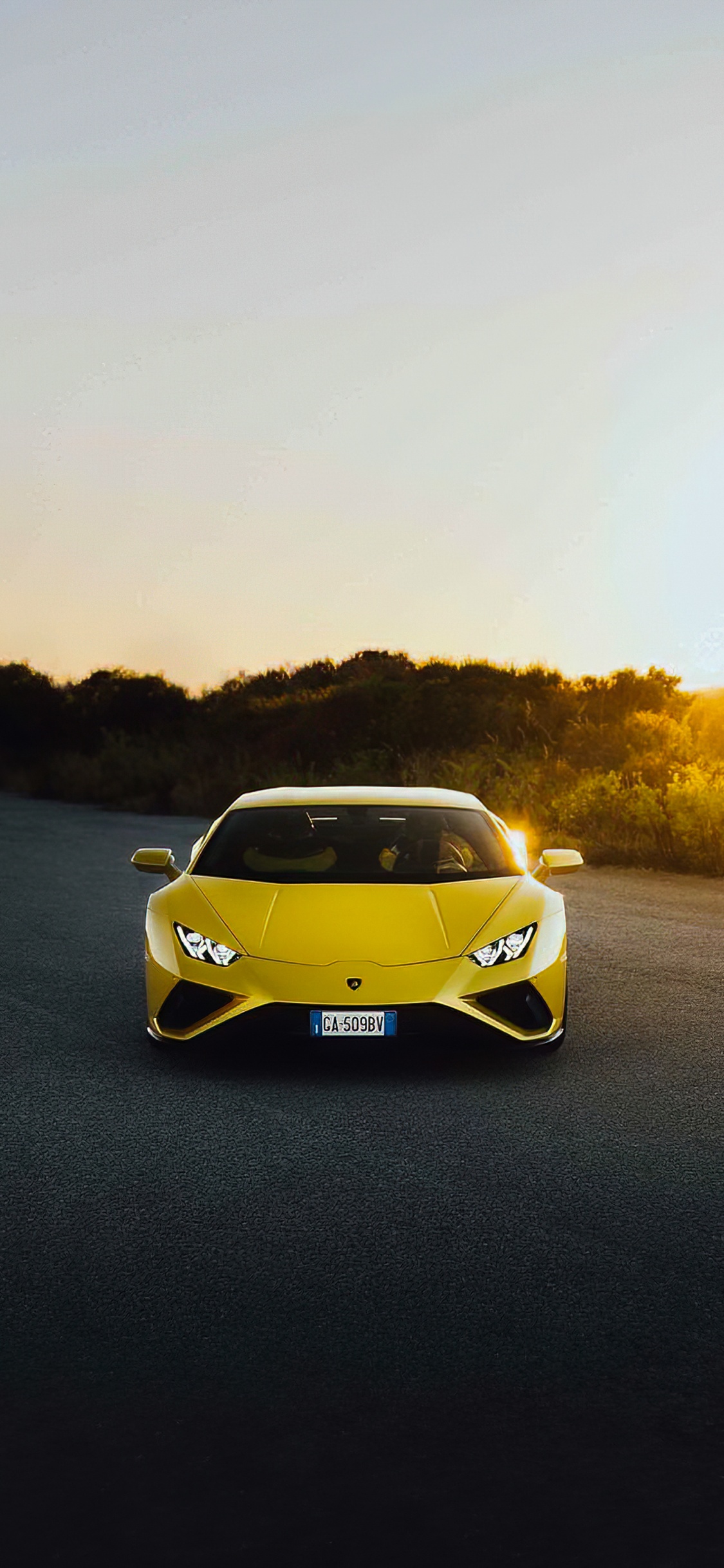 Обои Ламборджини, легковые автомобили, Ламборгини авентадор, lamborghini huracan evo, спорткар в разрешении 1125x2436