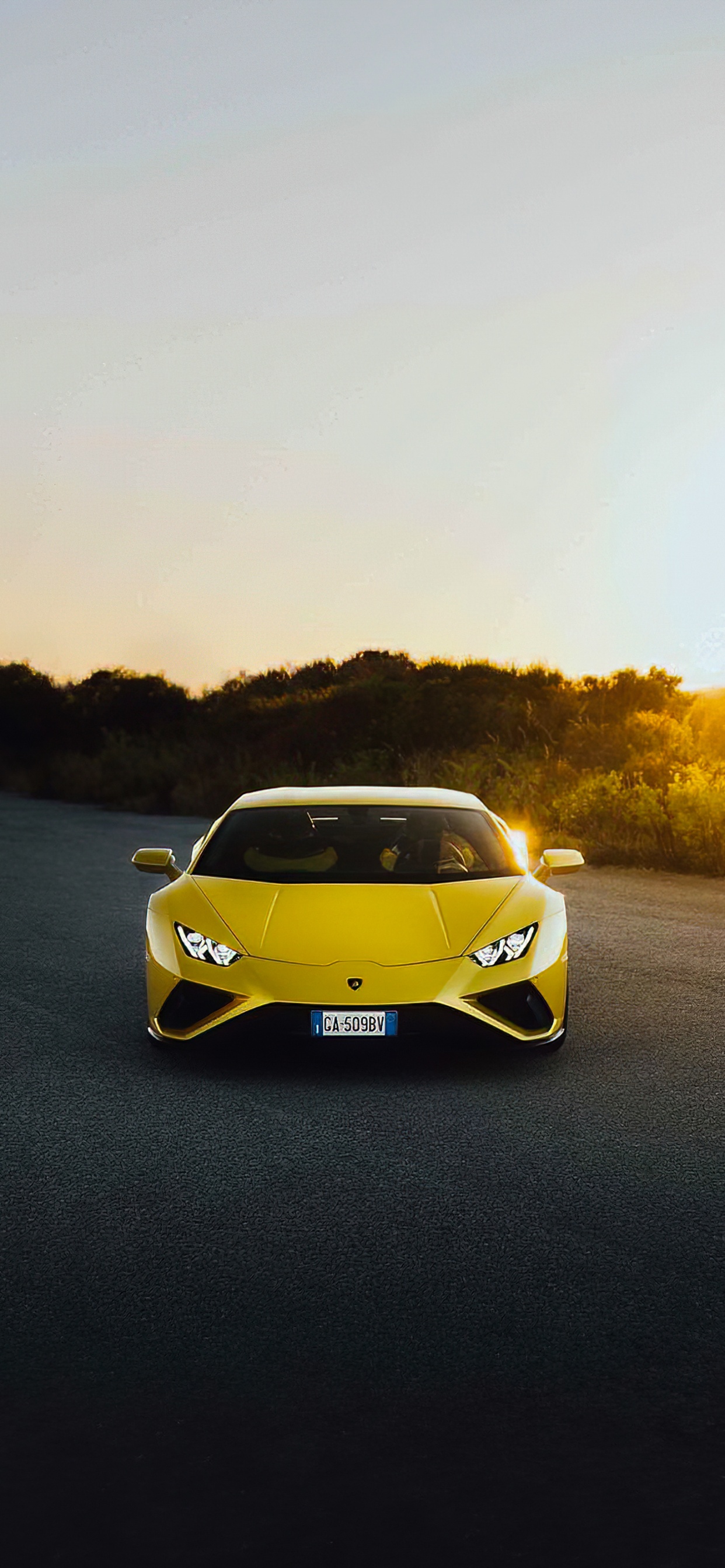 Обои Ламборджини, легковые автомобили, Ламборгини авентадор, lamborghini huracan evo, спорткар в разрешении 1242x2688