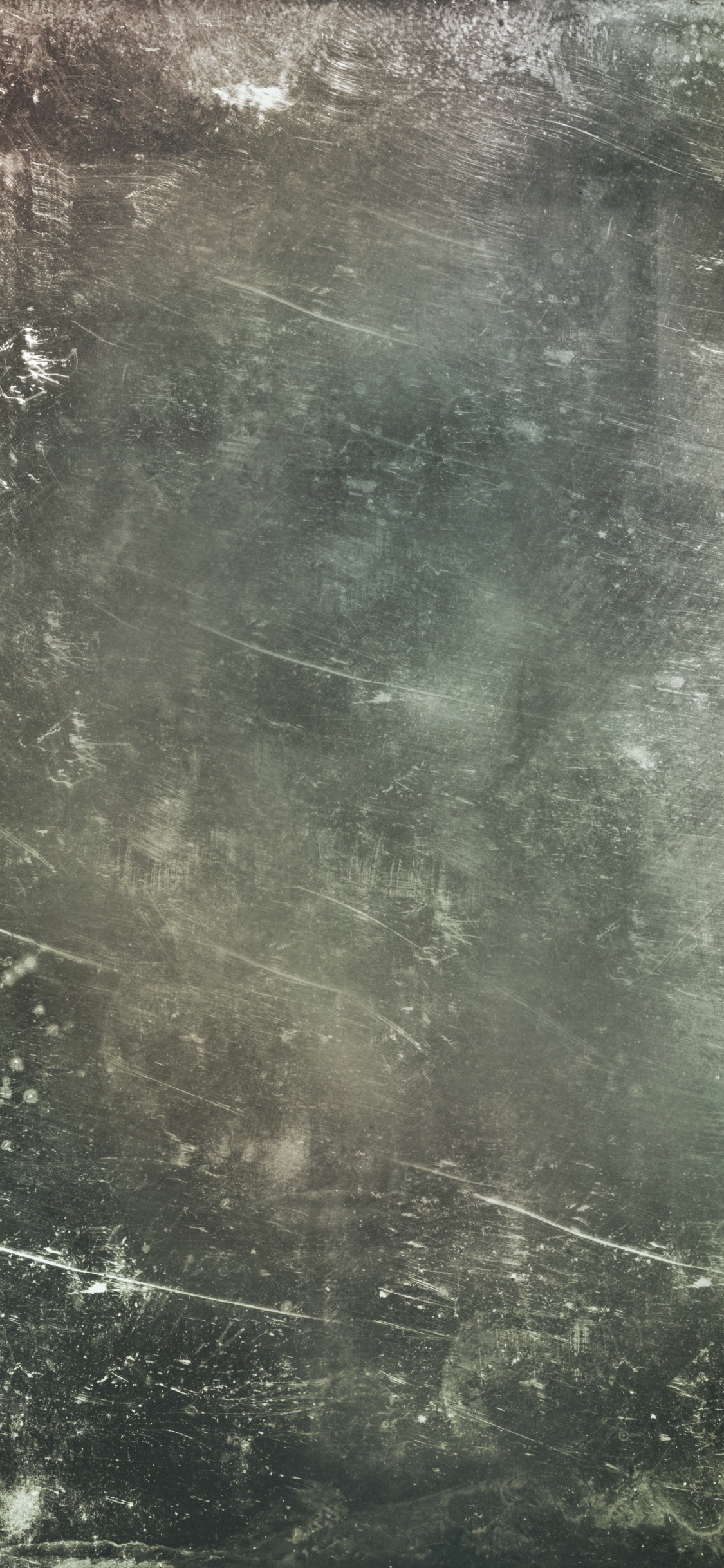 Обои текстура, монохромный, черный и белый, дерево, монохромный режим в разрешении 1125x2436