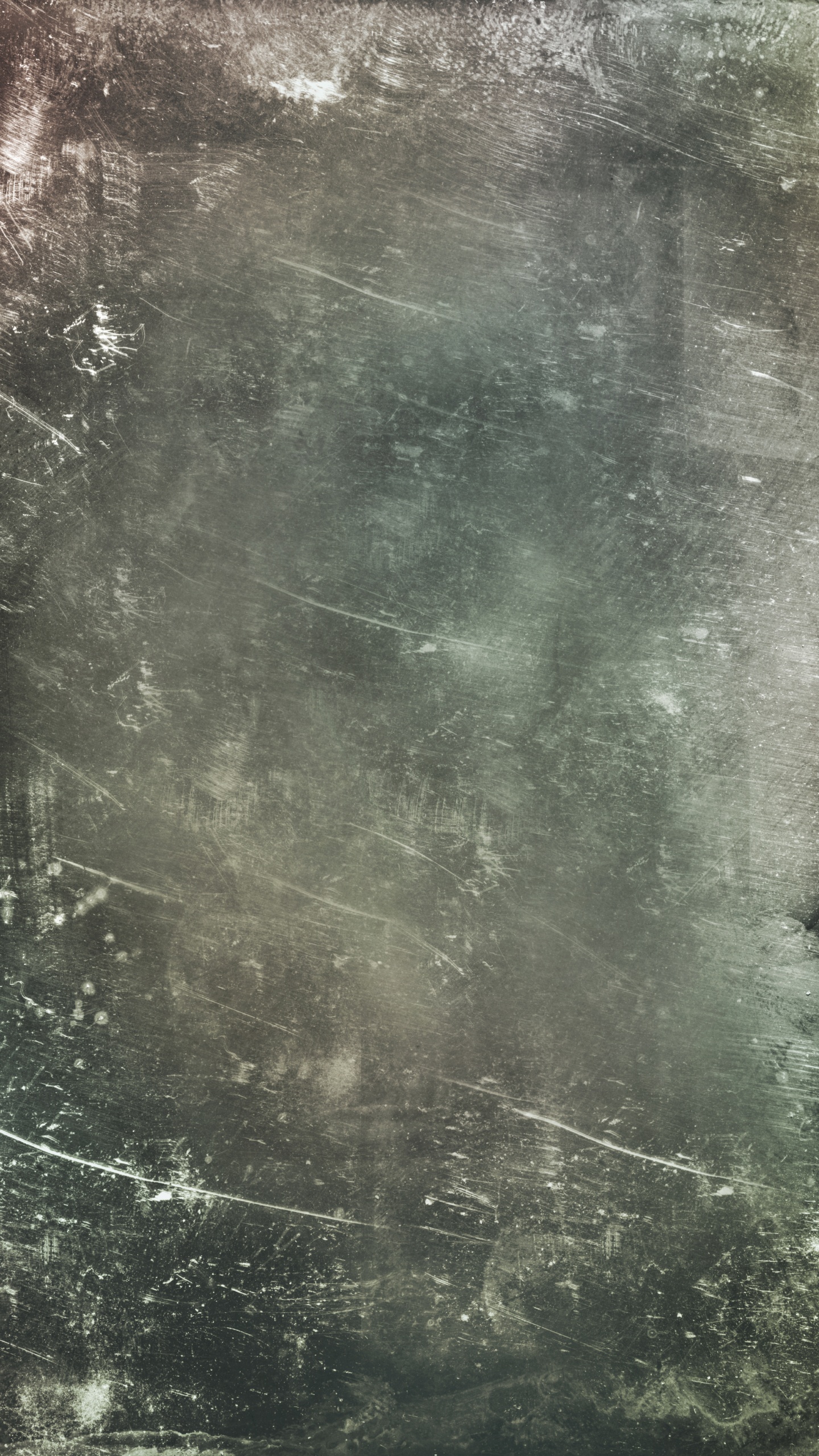 Обои текстура, монохромный, черный и белый, дерево, монохромный режим в разрешении 1440x2560