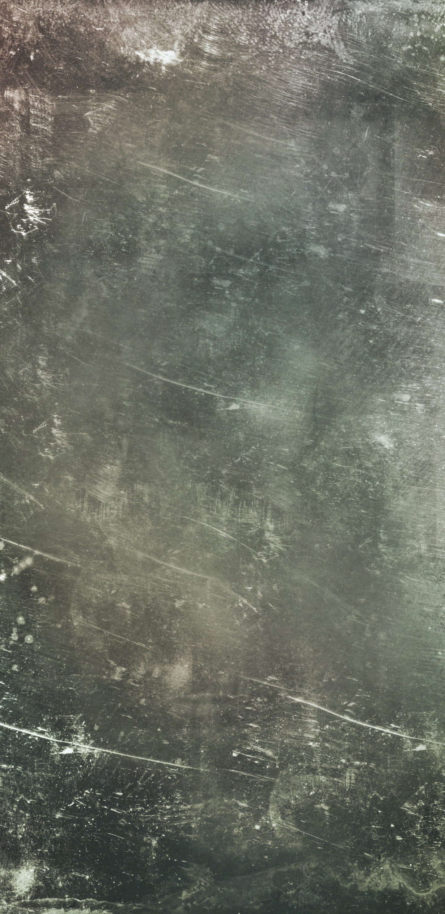 Обои текстура, монохромный, черный и белый, дерево, монохромный режим в разрешении 1440x2960