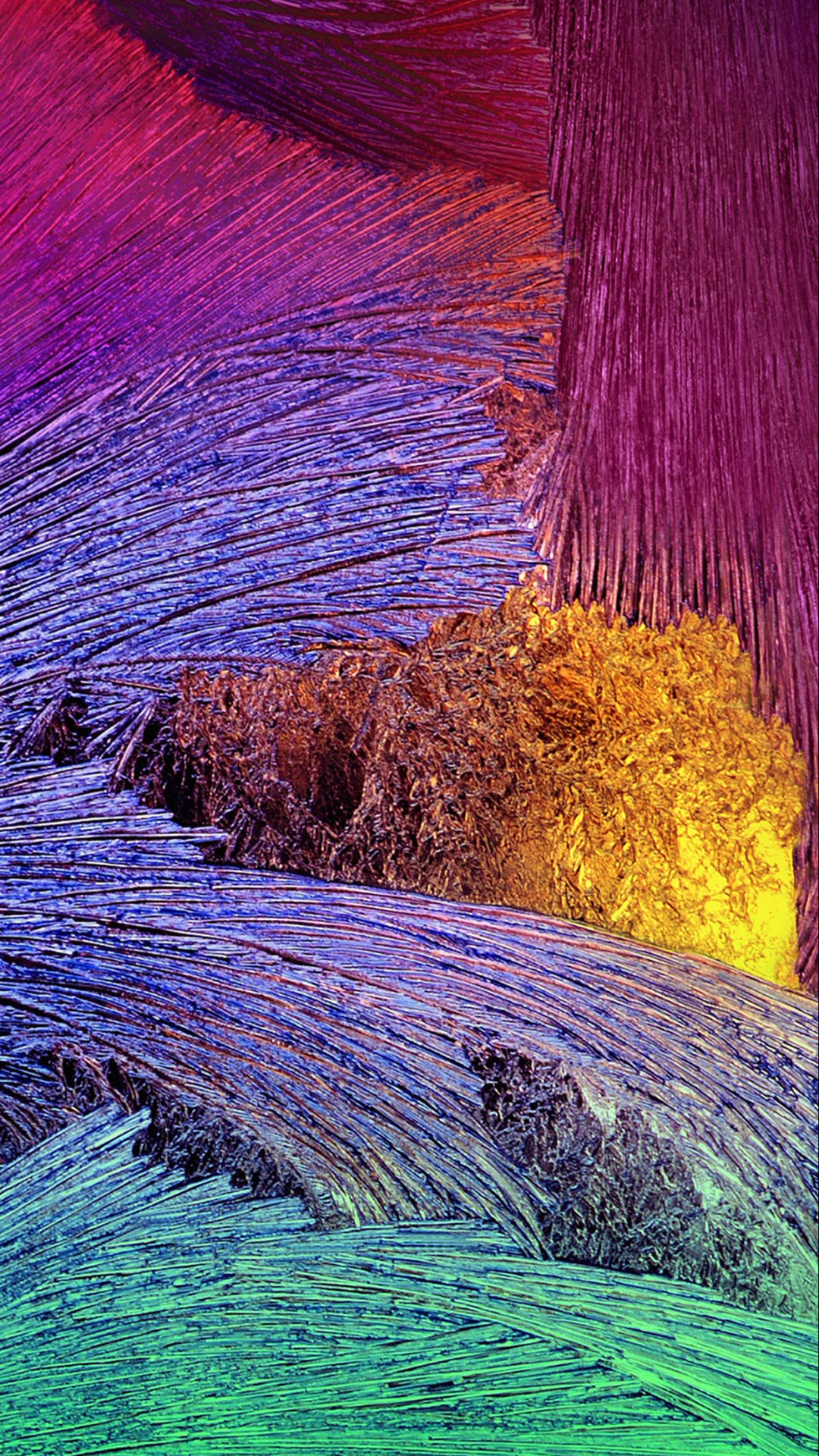 Обои пурпур, Фиолетовый, лаванда, растение, разблокирован в разрешении 1080x1920