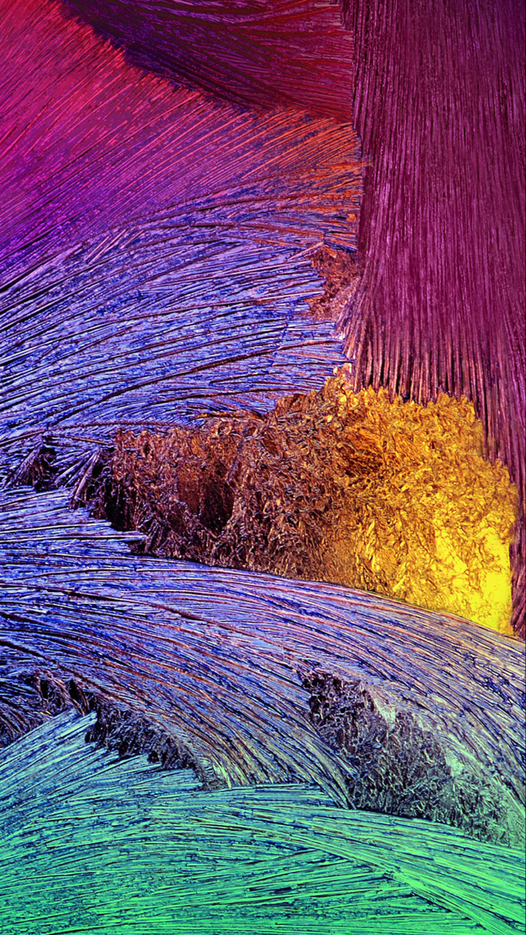 Обои пурпур, Фиолетовый, лаванда, растение, разблокирован в разрешении 750x1334