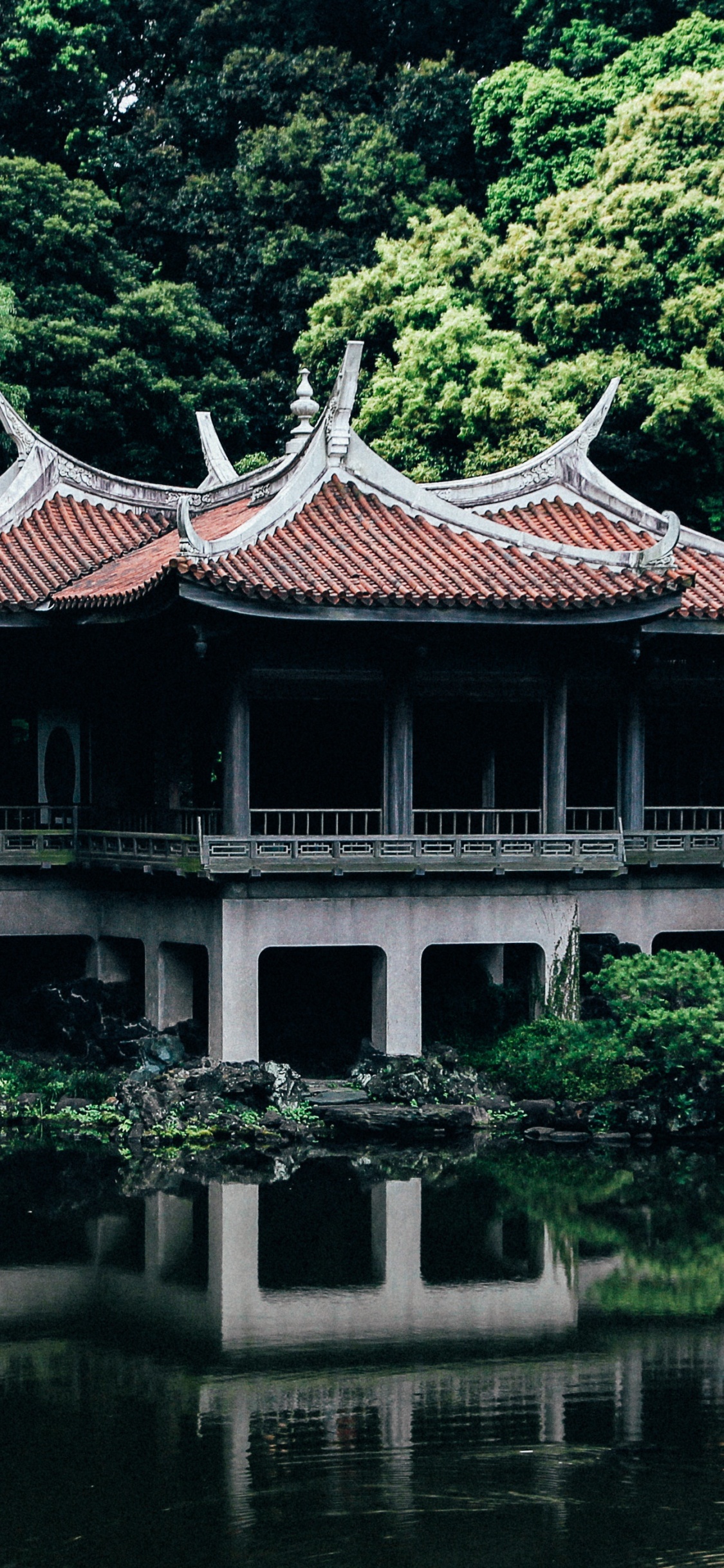 Обои Синдзюку-геэн Тайвань-Каку, китайская архитектура, японская архитектура, архитектура, пагода в разрешении 1125x2436