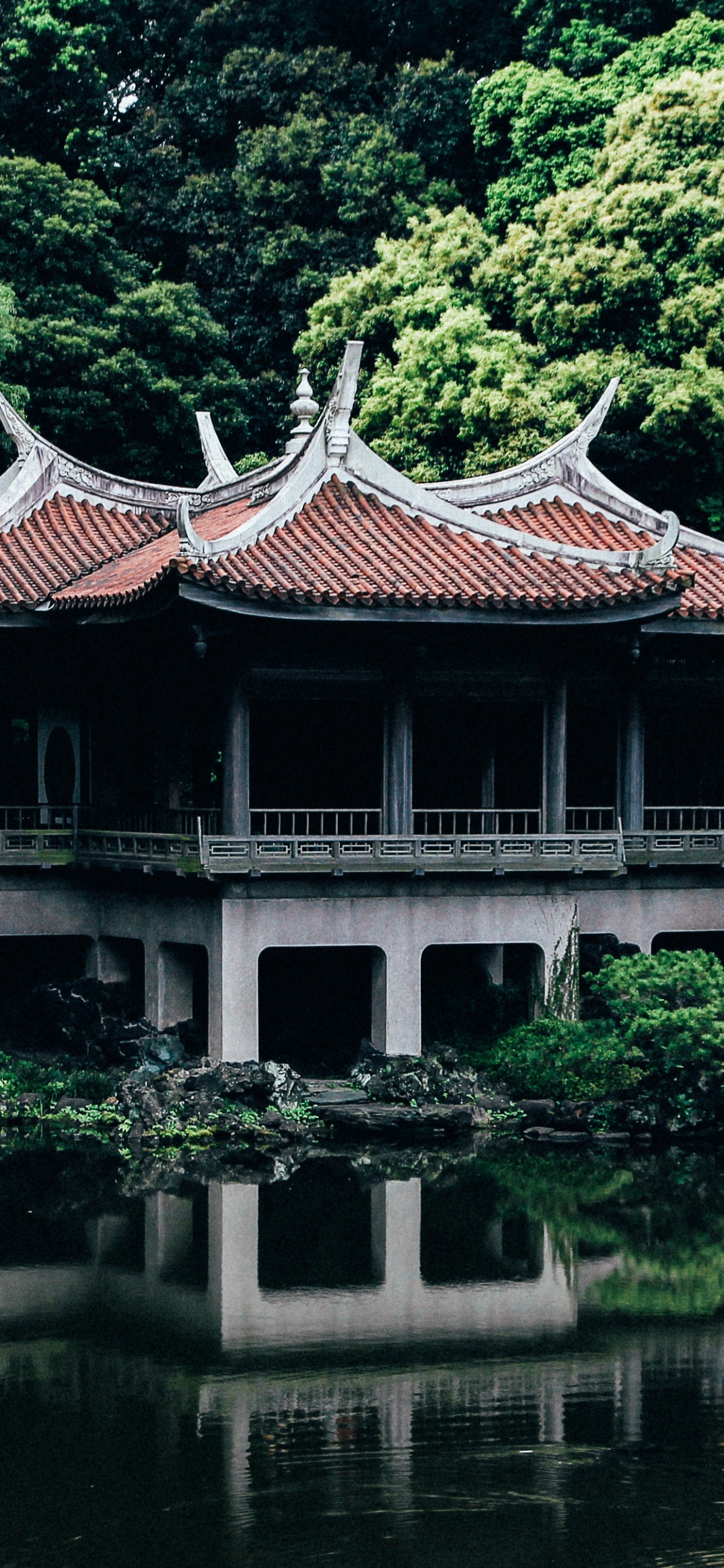 Обои Синдзюку-геэн Тайвань-Каку, китайская архитектура, японская архитектура, архитектура, пагода в разрешении 1242x2688