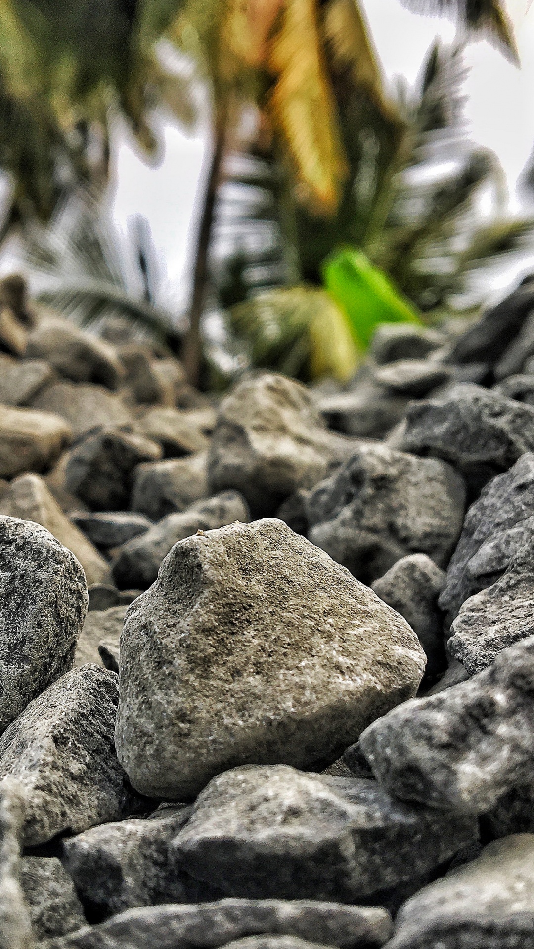 Обои вода, доставка валуна м, рок, коренная порода, крупный план в разрешении 1080x1920