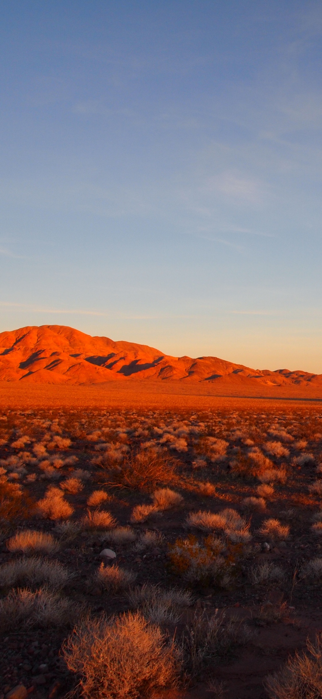 Обои пустыня, природа, горизонт, окружающая среда, облако в разрешении 1125x2436