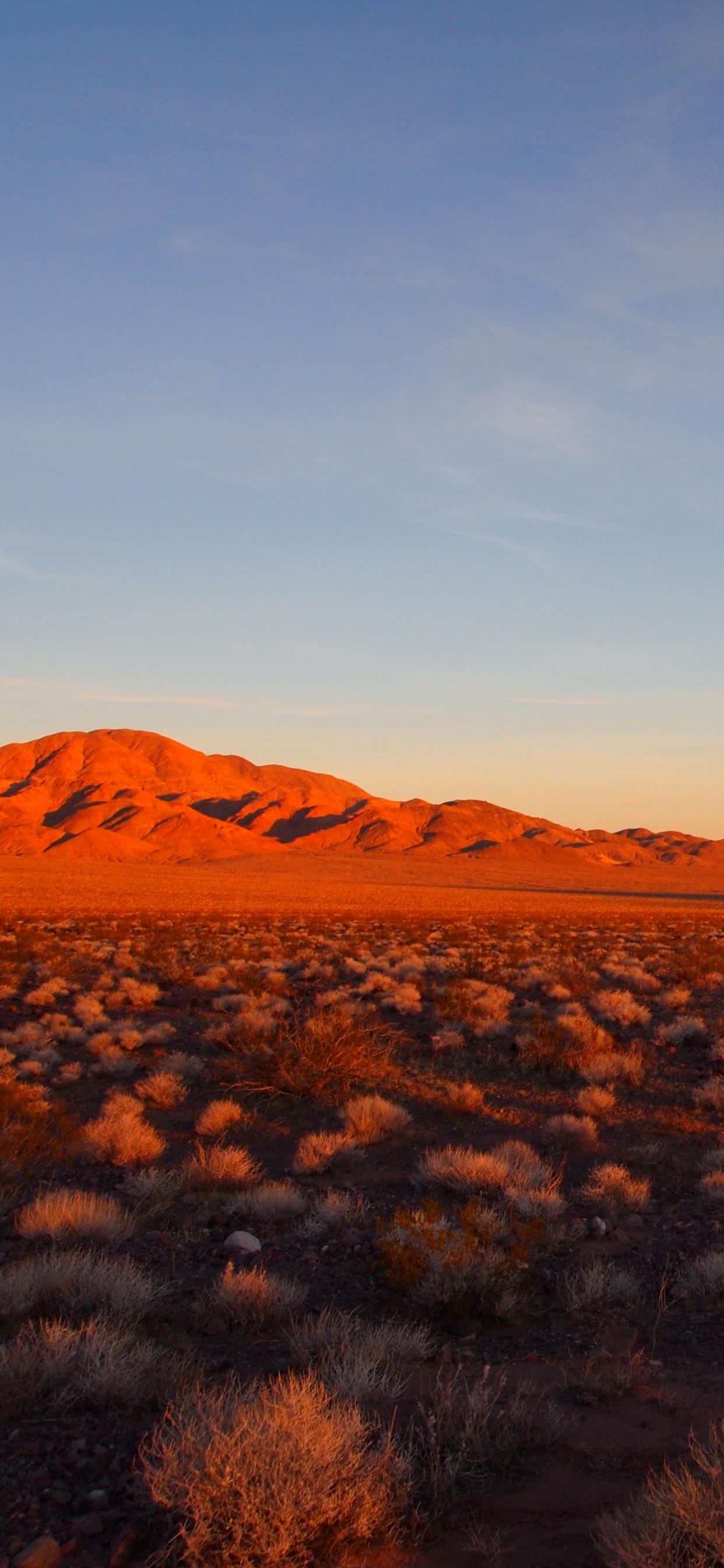 Обои пустыня, природа, горизонт, окружающая среда, облако в разрешении 1242x2688