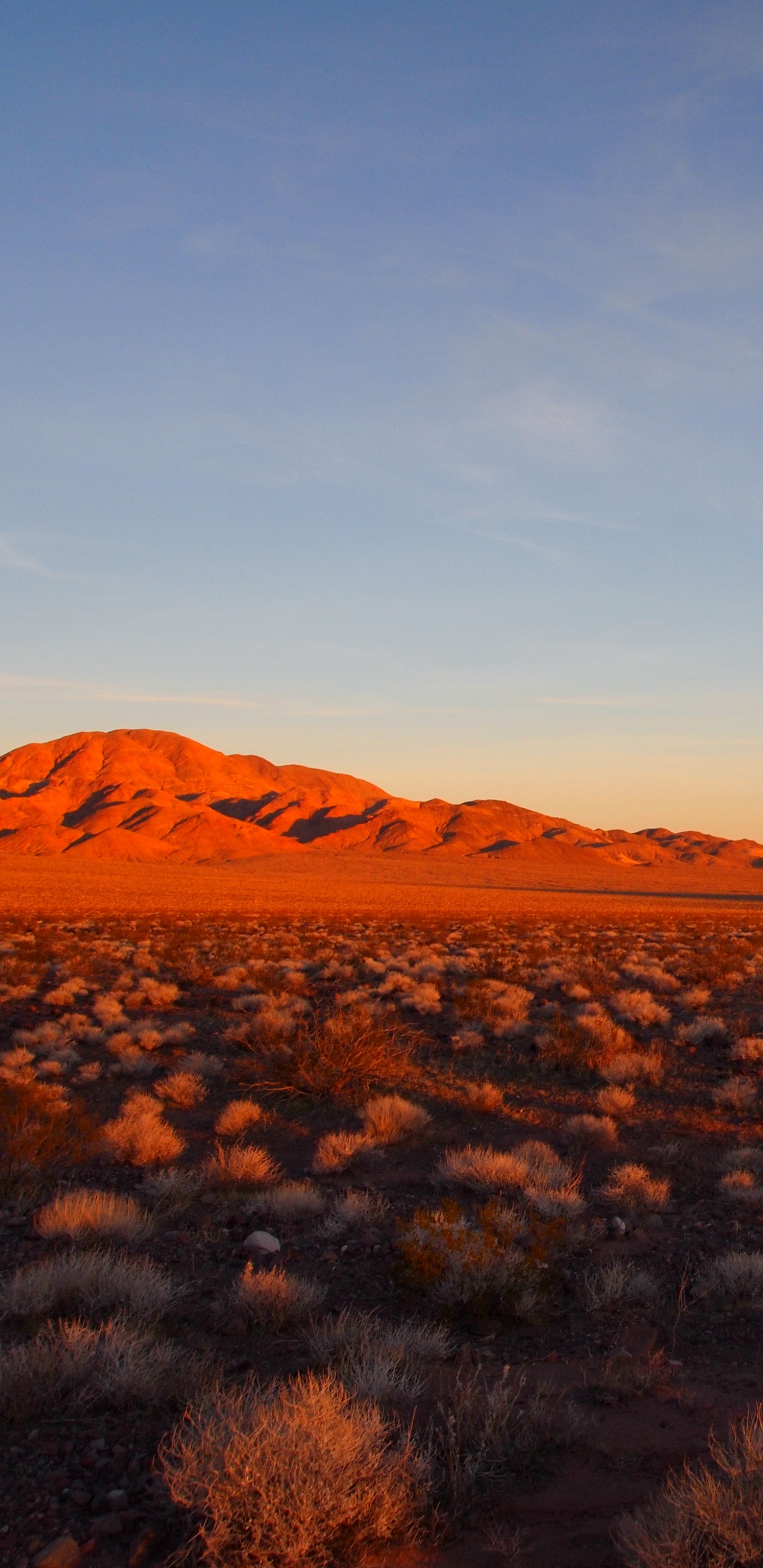 Обои пустыня, природа, горизонт, окружающая среда, облако в разрешении 1440x2960