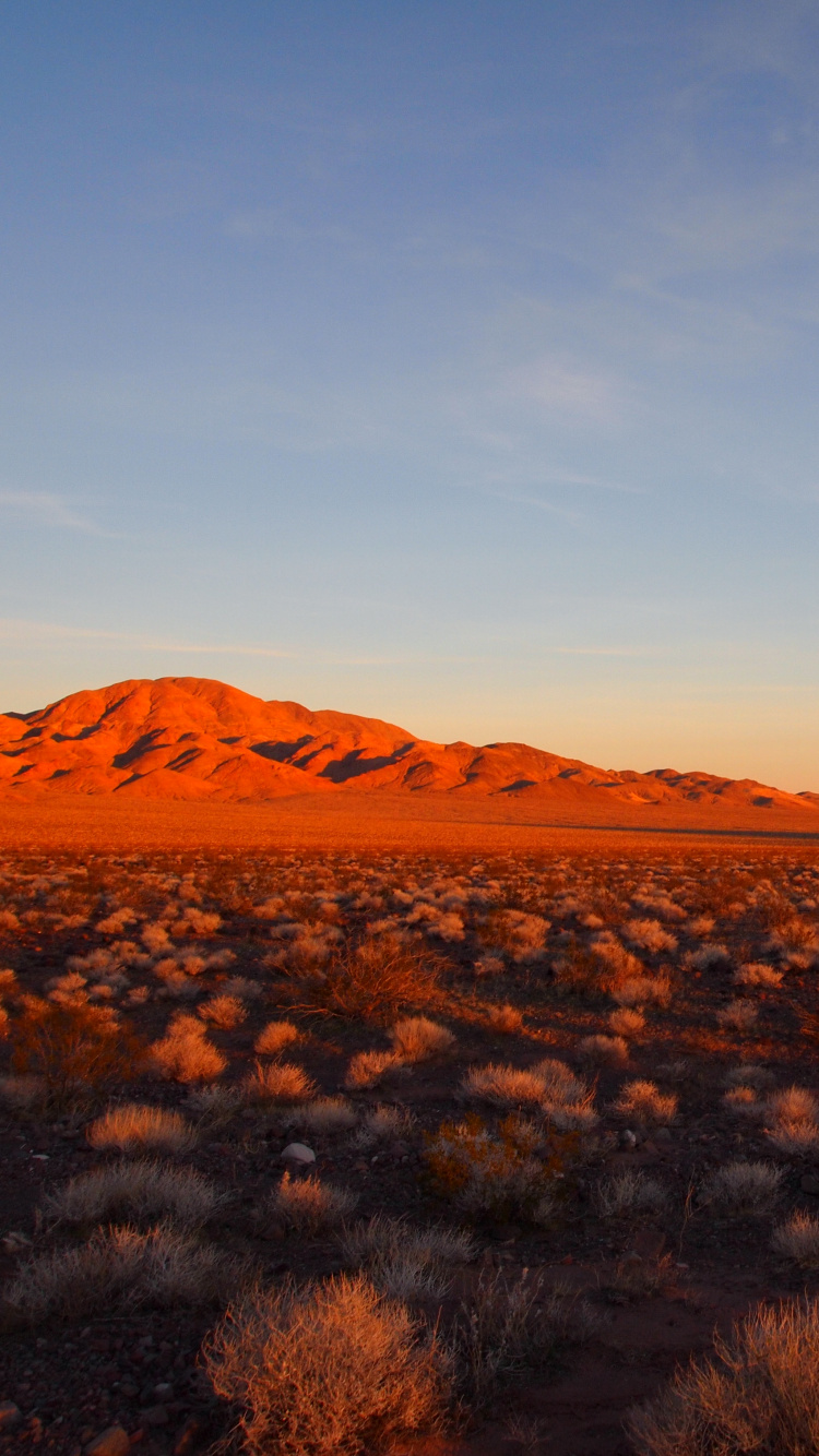 Обои пустыня, природа, горизонт, окружающая среда, облако в разрешении 750x1334