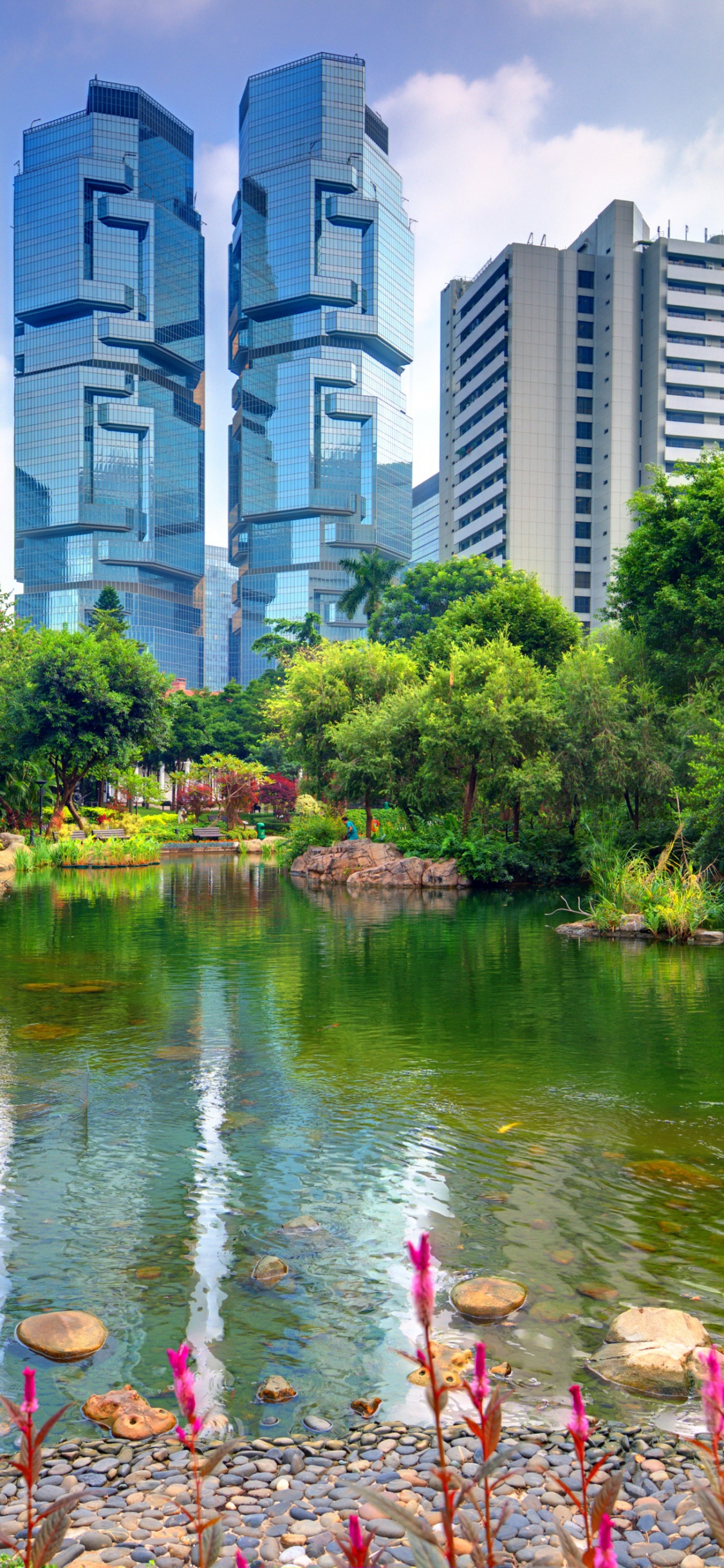 Обои природа, парк, парк развлечений, пик Виктория, городской парк в разрешении 1125x2436