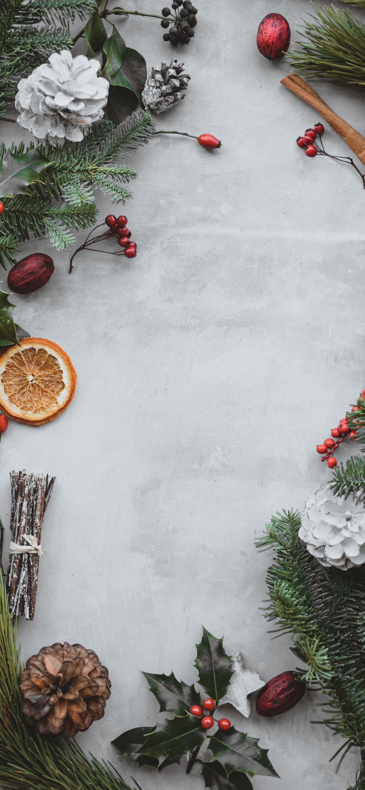 Обои apple, сосна, падуб, елка, венок в разрешении 1242x2688