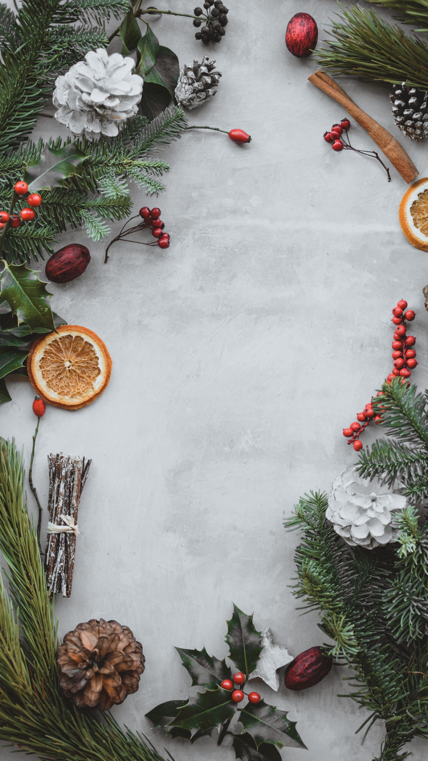 Обои apple, сосна, падуб, елка, венок в разрешении 1440x2560