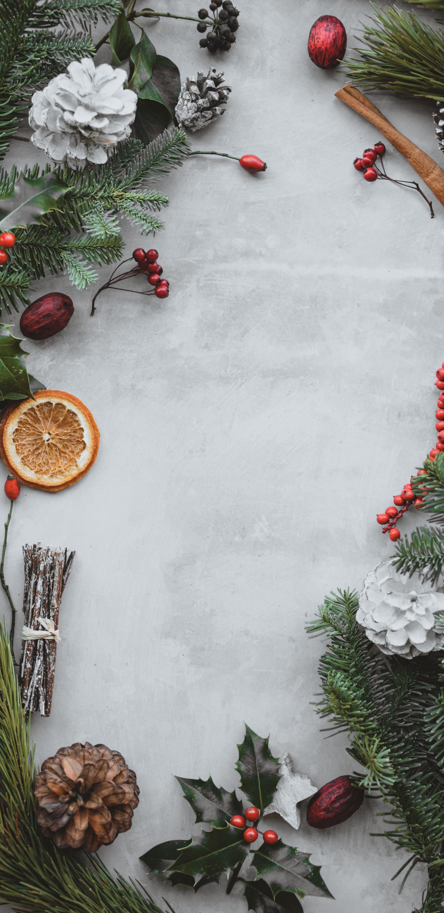 Обои apple, сосна, падуб, елка, венок в разрешении 1440x2960