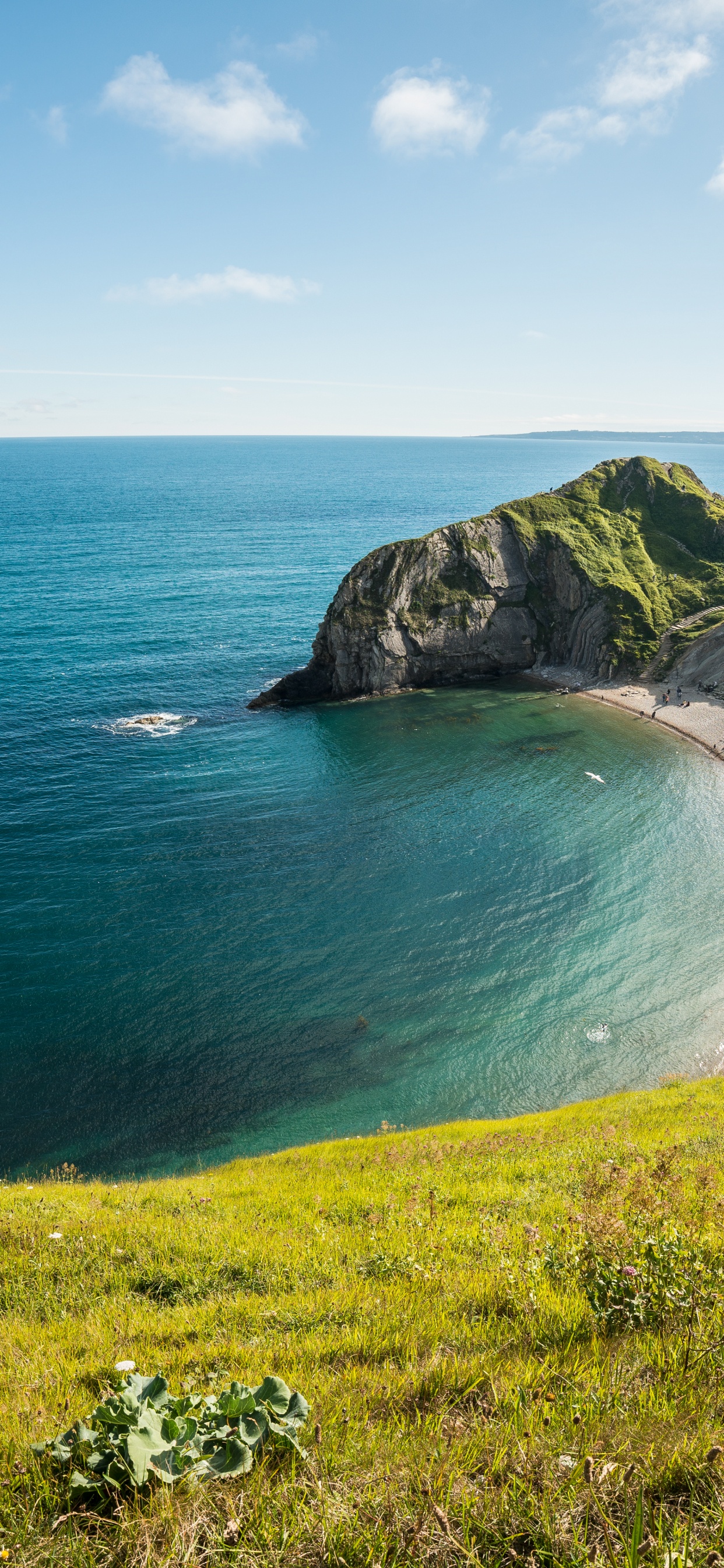 Обои Frontech монитор 22 дюйма цена, лампа подсветки, фронтех, Интерфейс HDMI, фронтек джил-1978 в разрешении 1242x2688