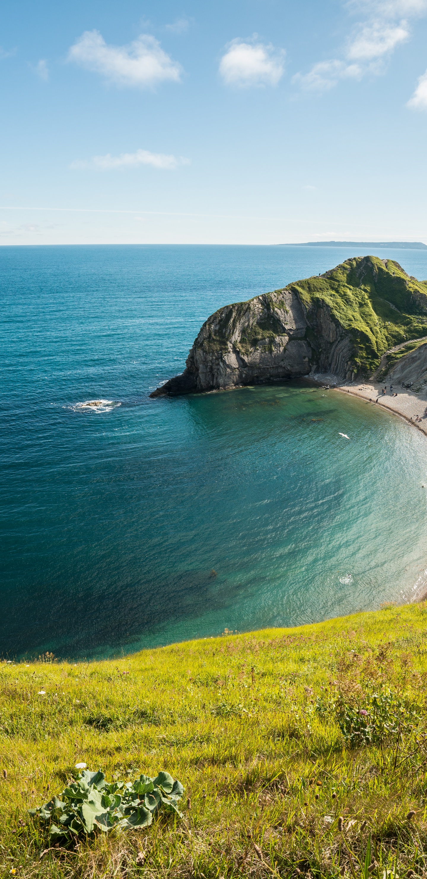 Обои Frontech монитор 22 дюйма цена, лампа подсветки, фронтех, Интерфейс HDMI, фронтек джил-1978 в разрешении 1440x2960