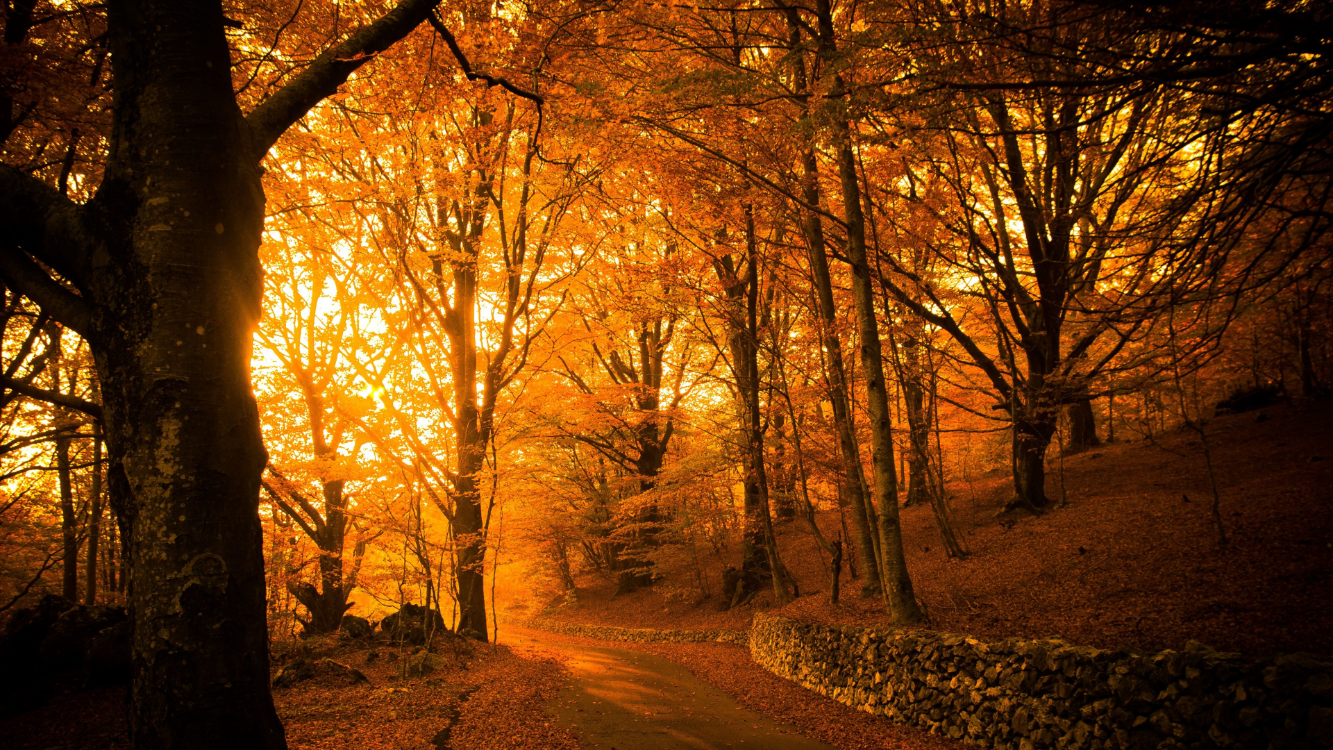 Обои осенний парк эстетика, осень, Парк Вогоа, эстетика, атмосфера в разрешении 1920x1080