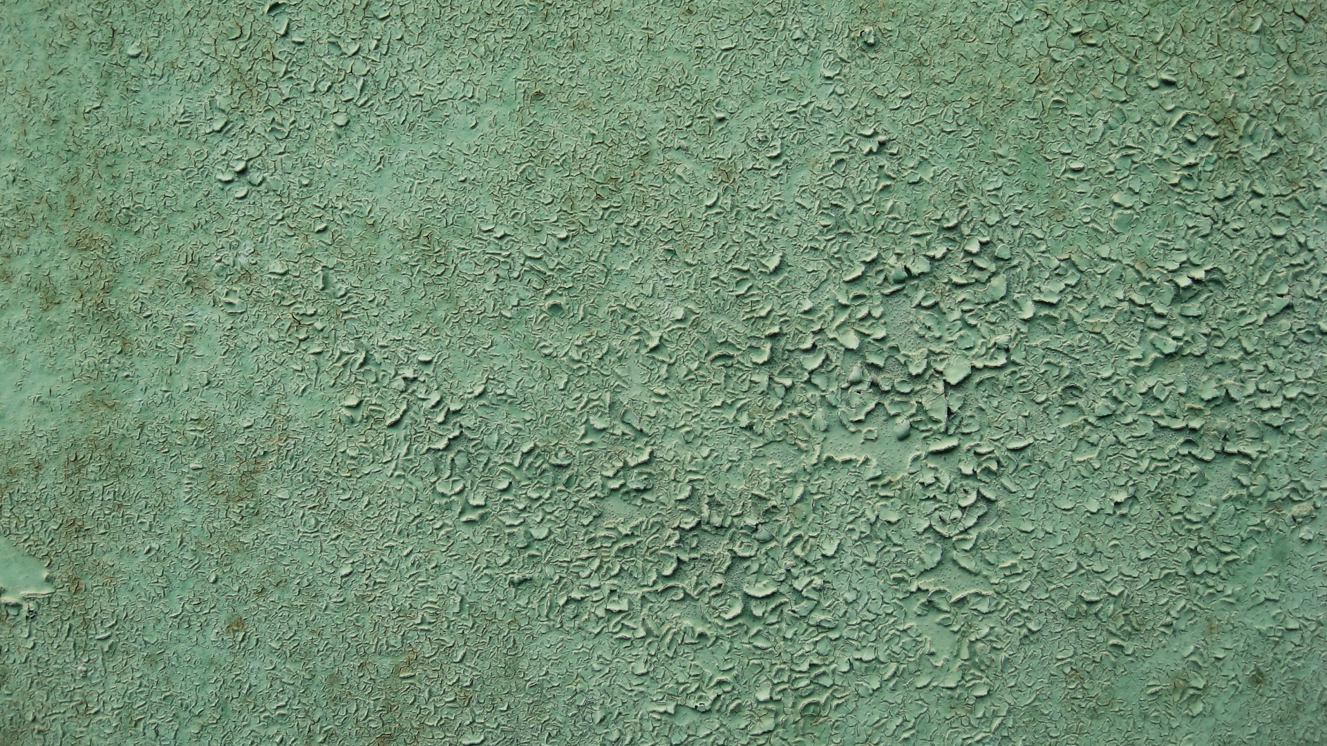 Обои текстура, зеленый, трава в разрешении 1920x1080