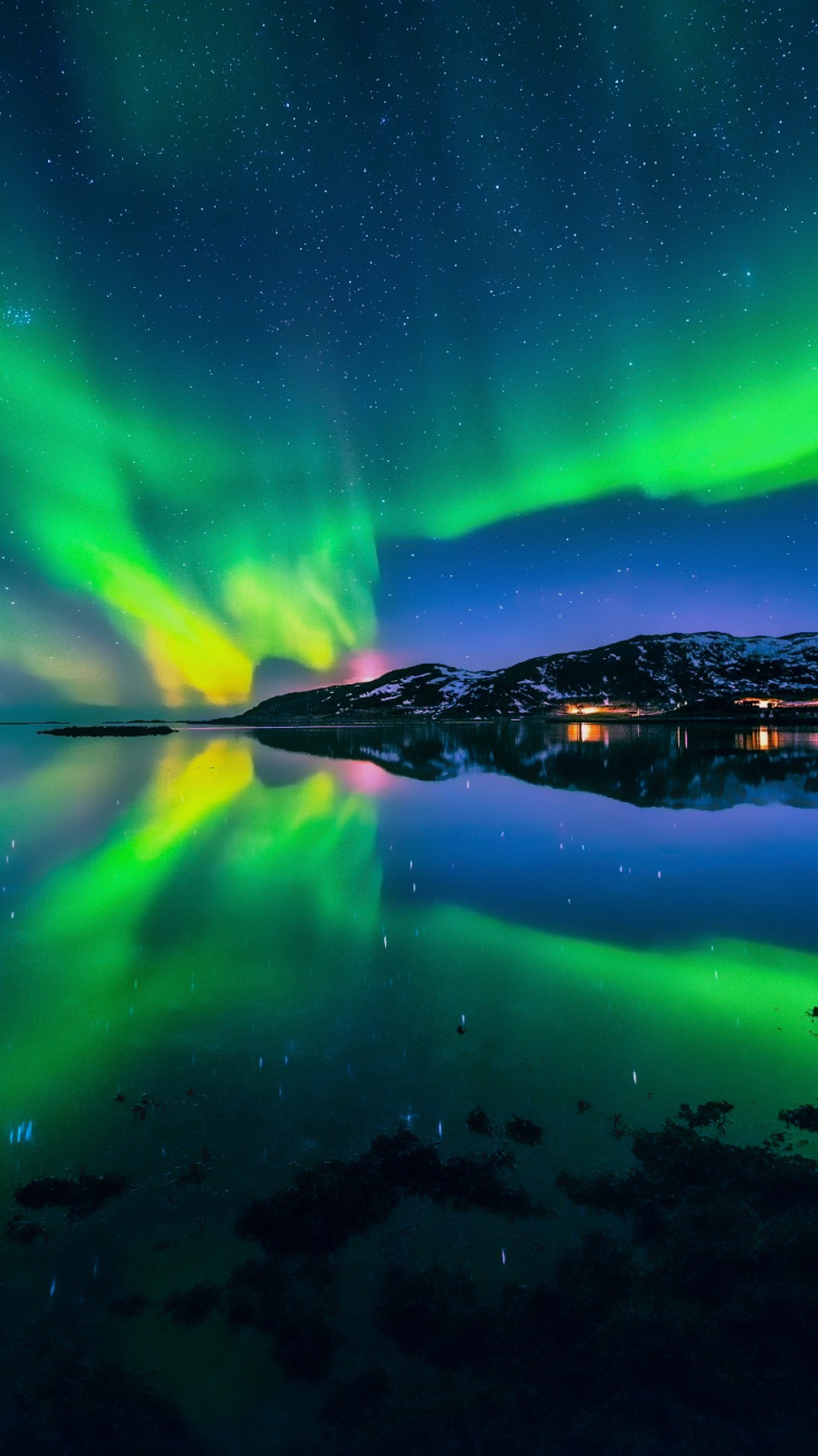 Обои природа, Аврора, ночь, зеленый, отражение в разрешении 750x1334