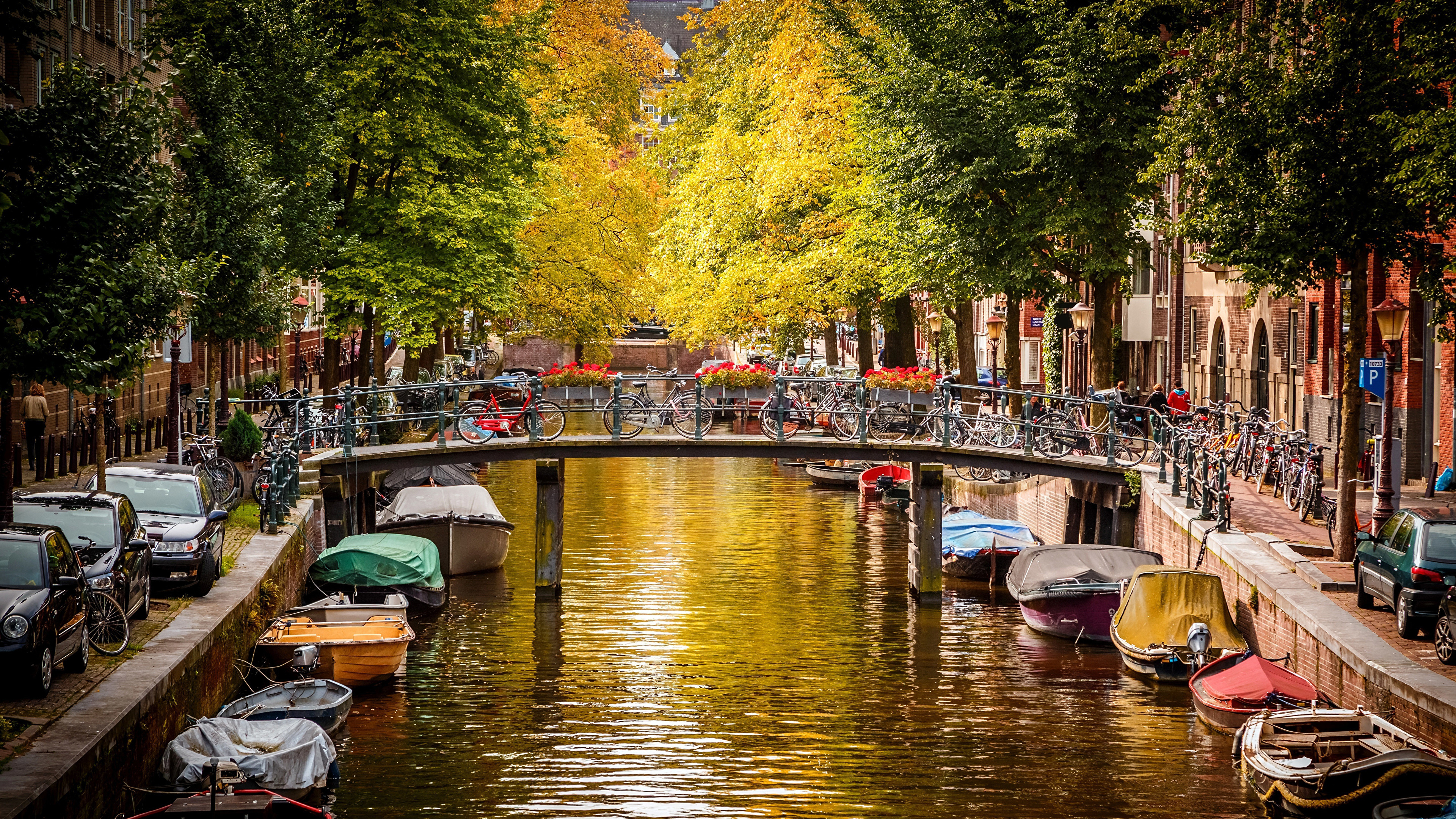 Обои канал, водоем, водный путь, вода, дерево в разрешении 3840x2160