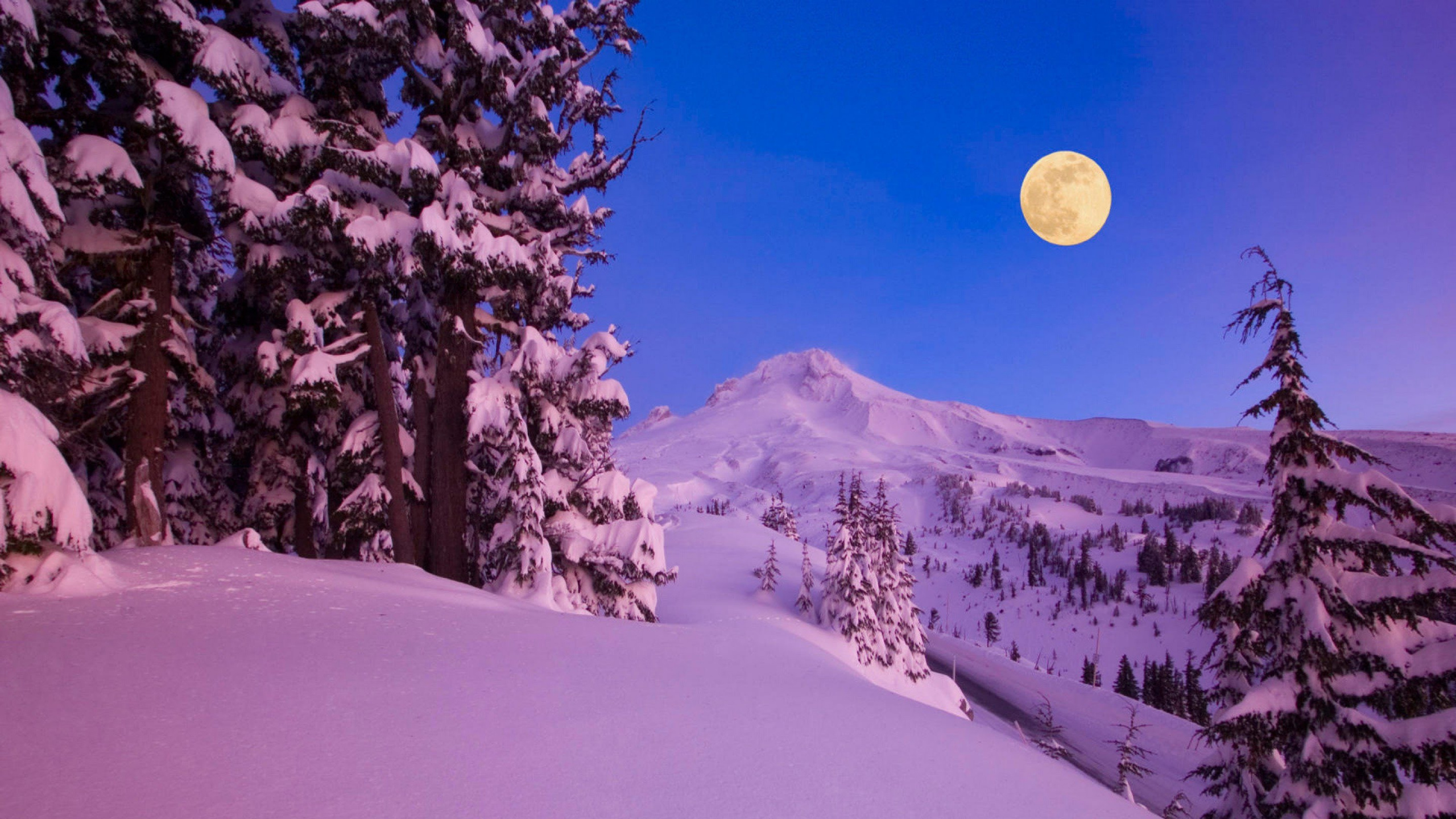 Обои зима, гора, снег, дерево, пурпур в разрешении 2560x1440